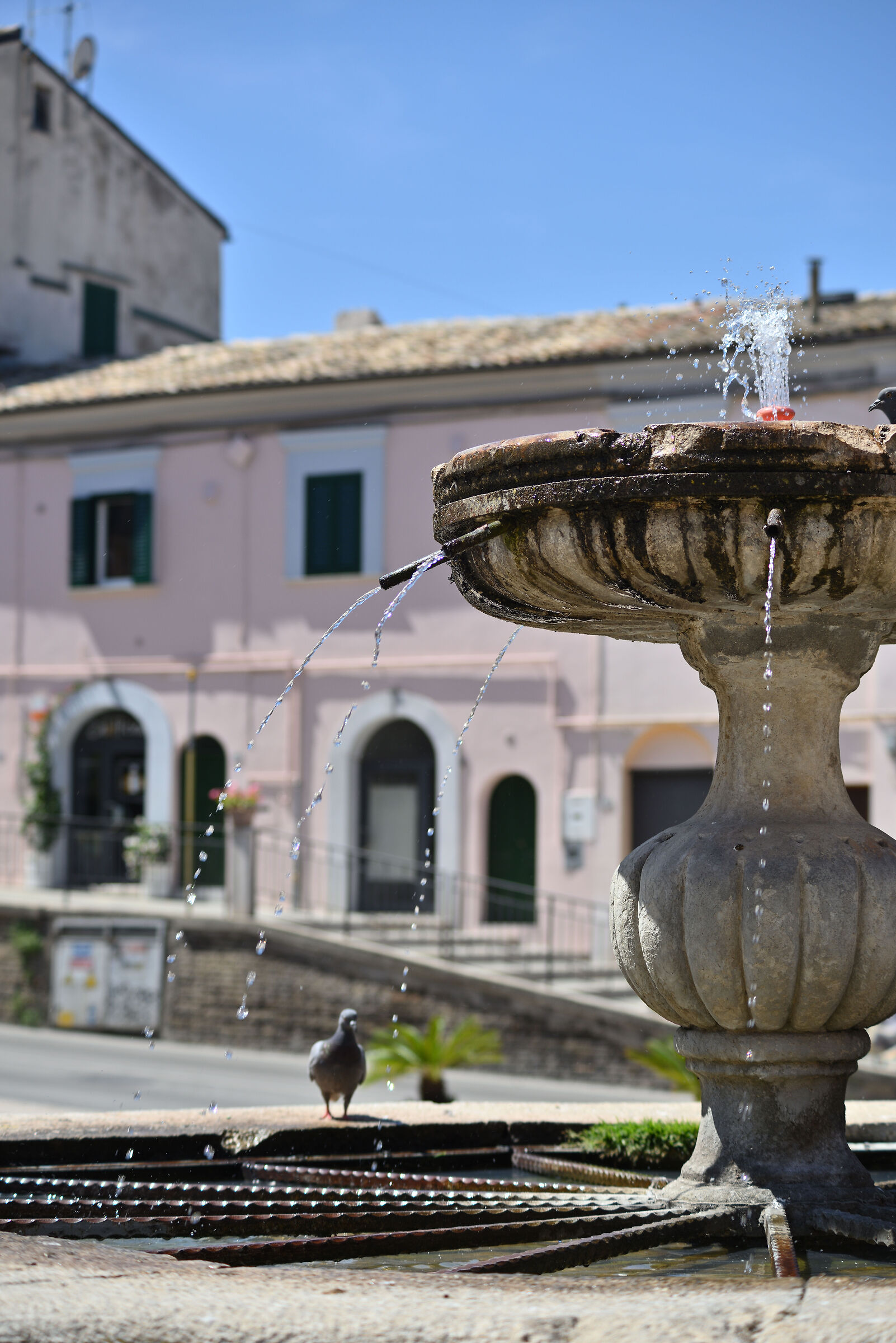 Test Nikkor C car 80-200 f 4.5 - focal 80