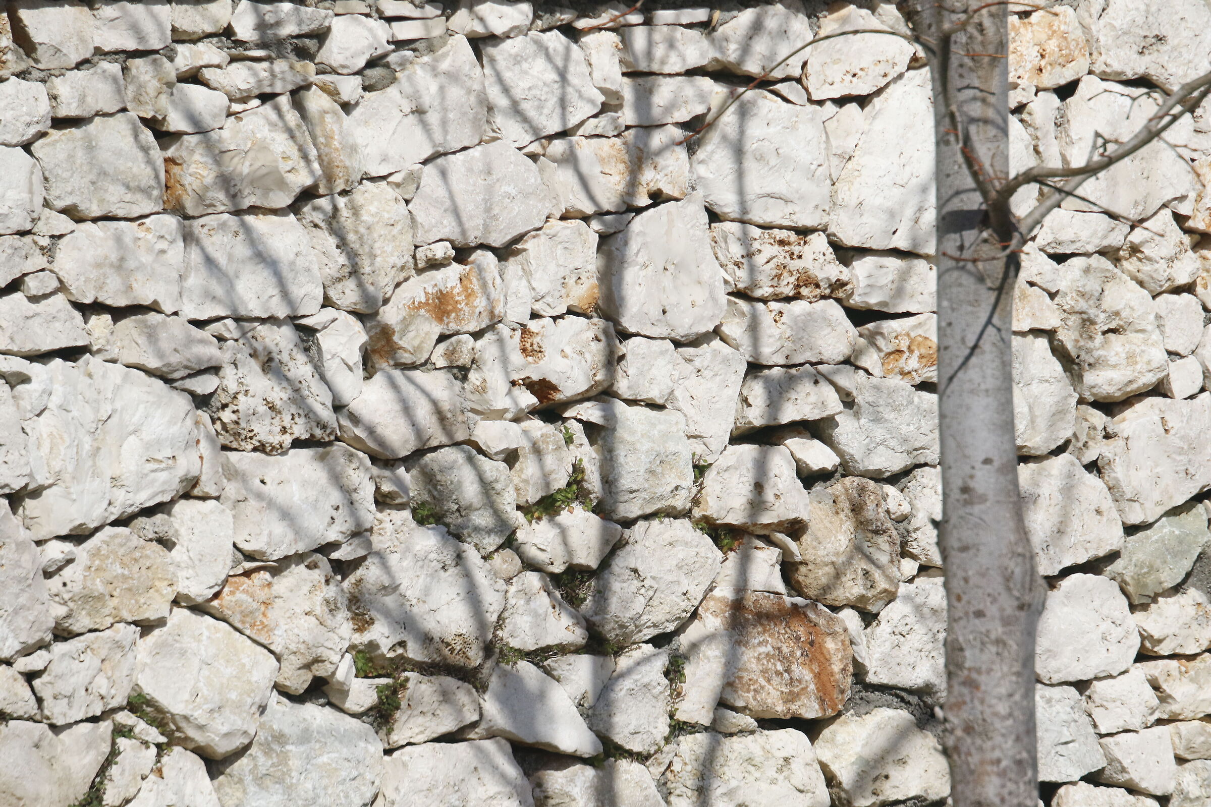 @ 300= Crop 480- Canon DO 70-300, 7 D II