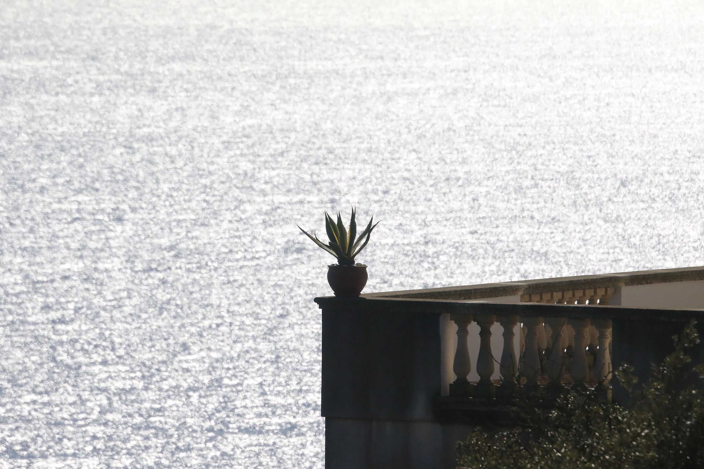 @300=Crop 480- 1/8.0 0 0, F. 10, ISO 1.0 0 0- DO, 7D II