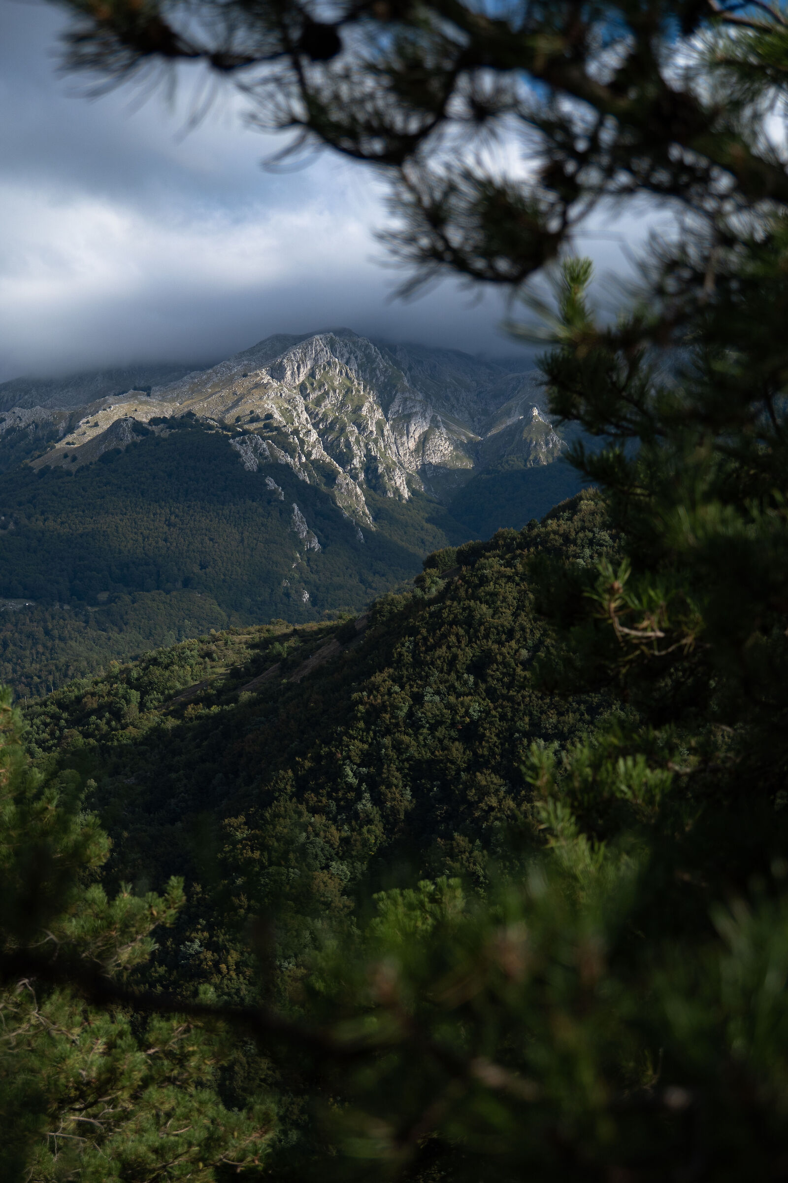 Roccamandolfi, Molise