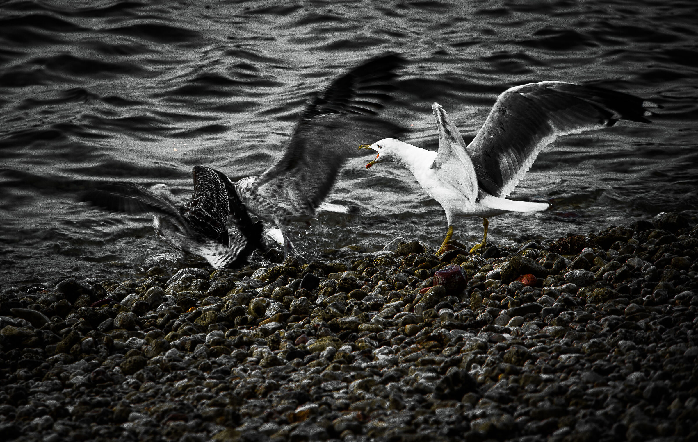 Untitled Photo