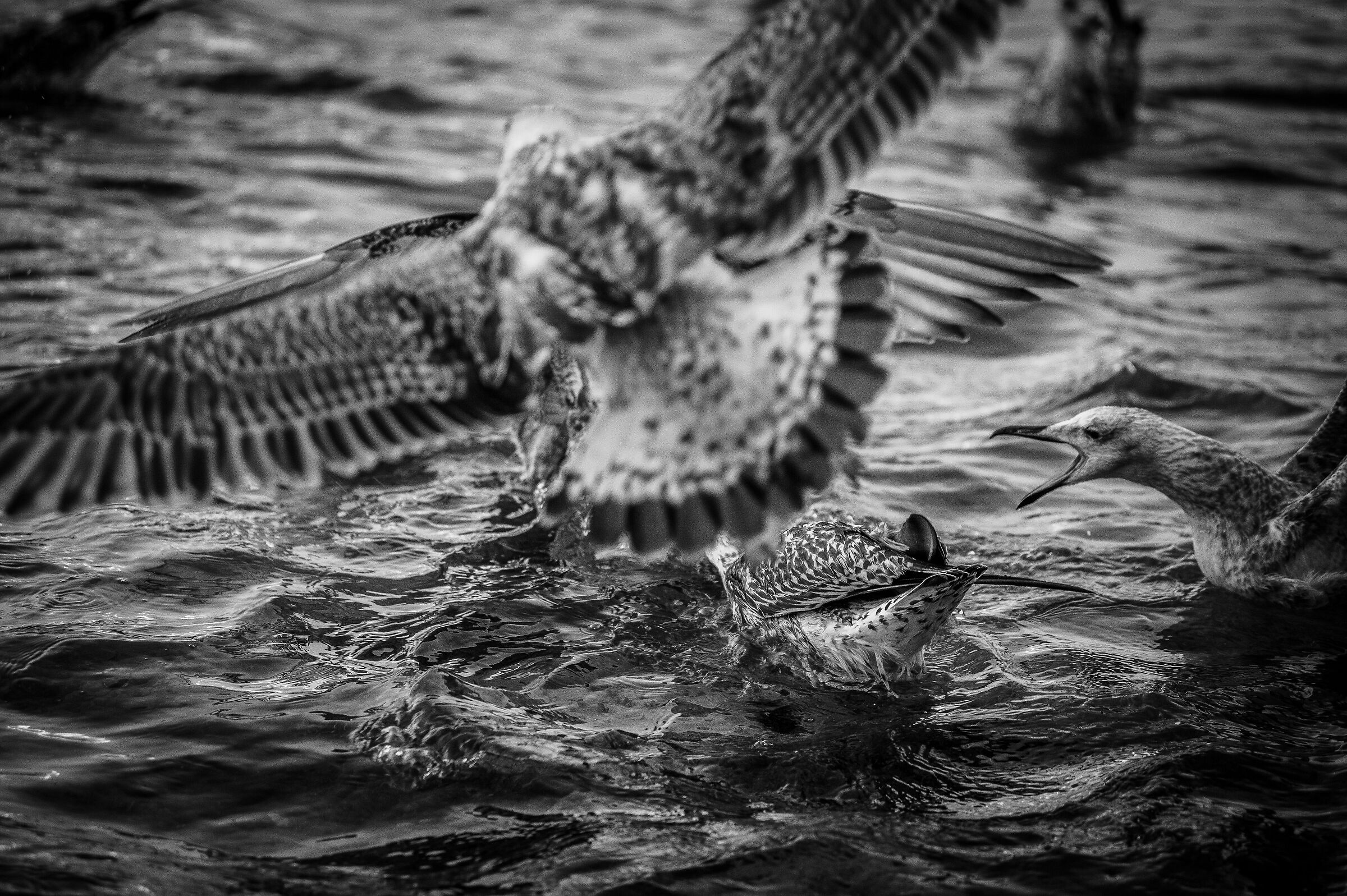 Untitled Photo
