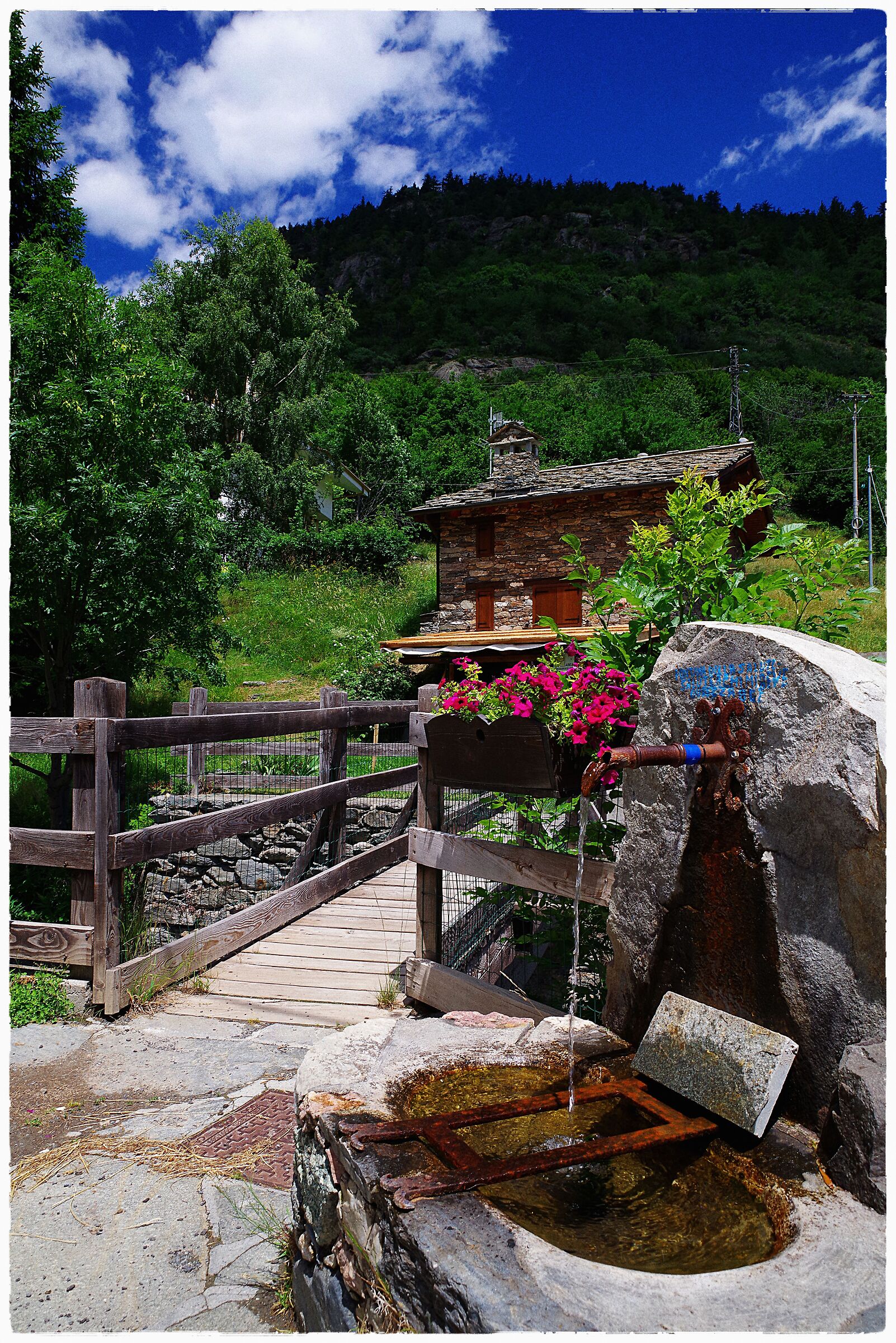 La fontana della giovinezza