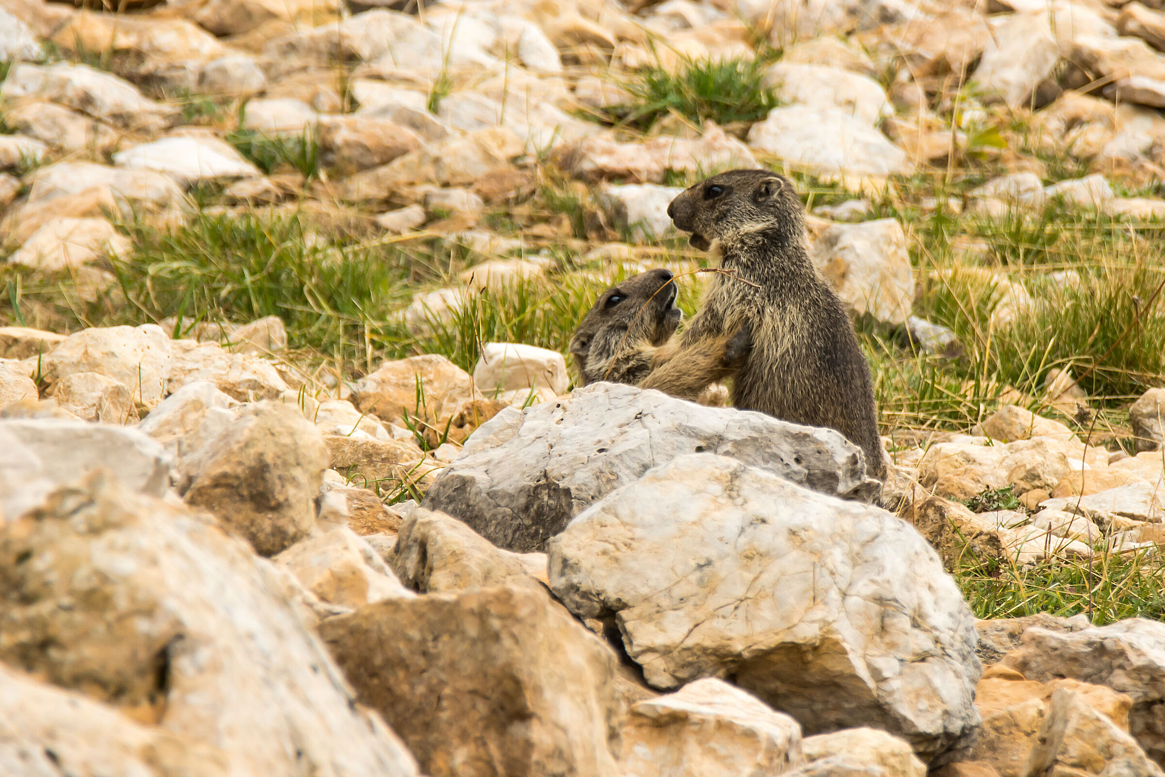 Come on Please don't do this !!!