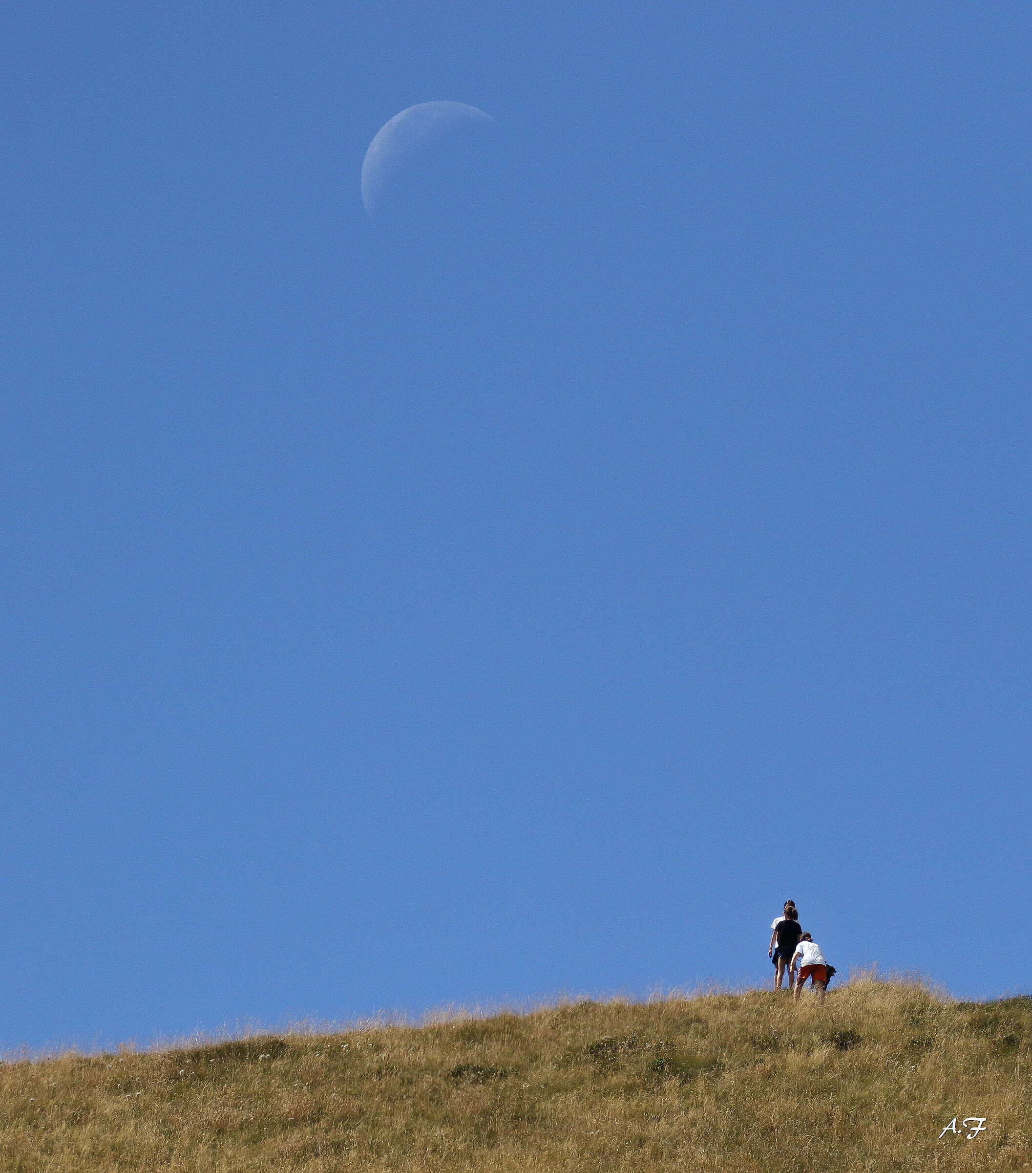 Moon too far away? :)
