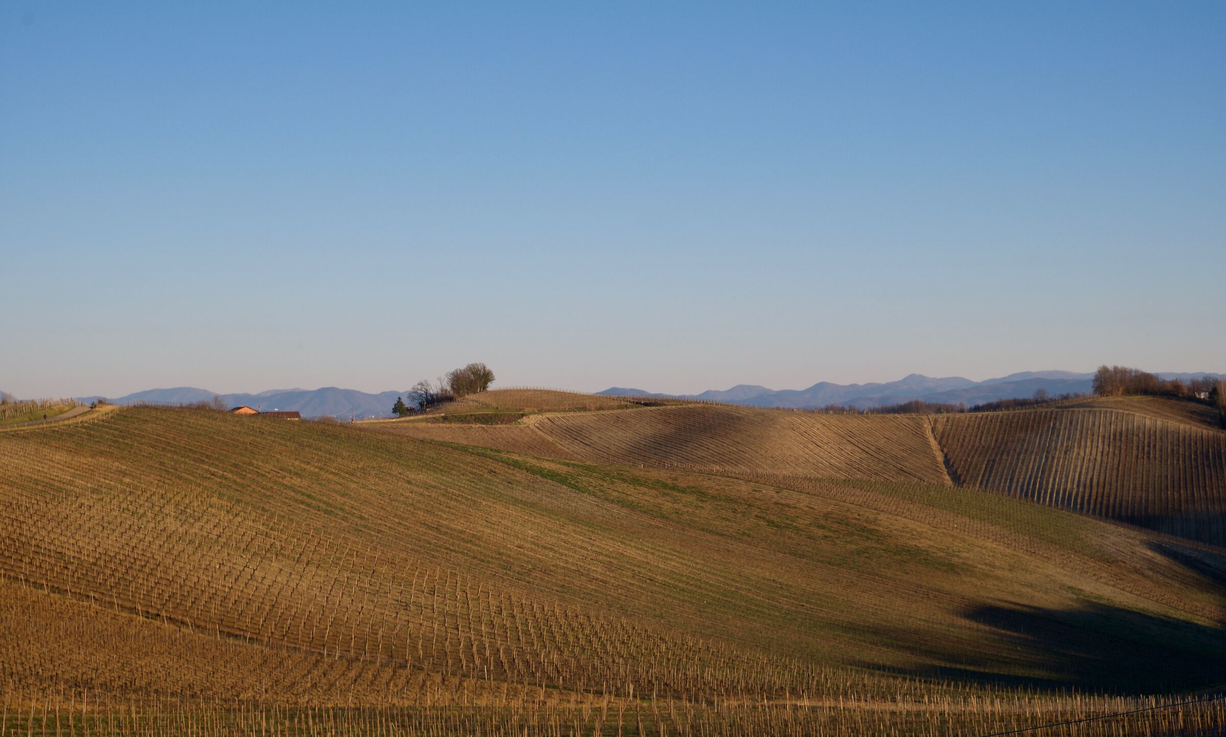 Alice Belcolle - Ricaldone