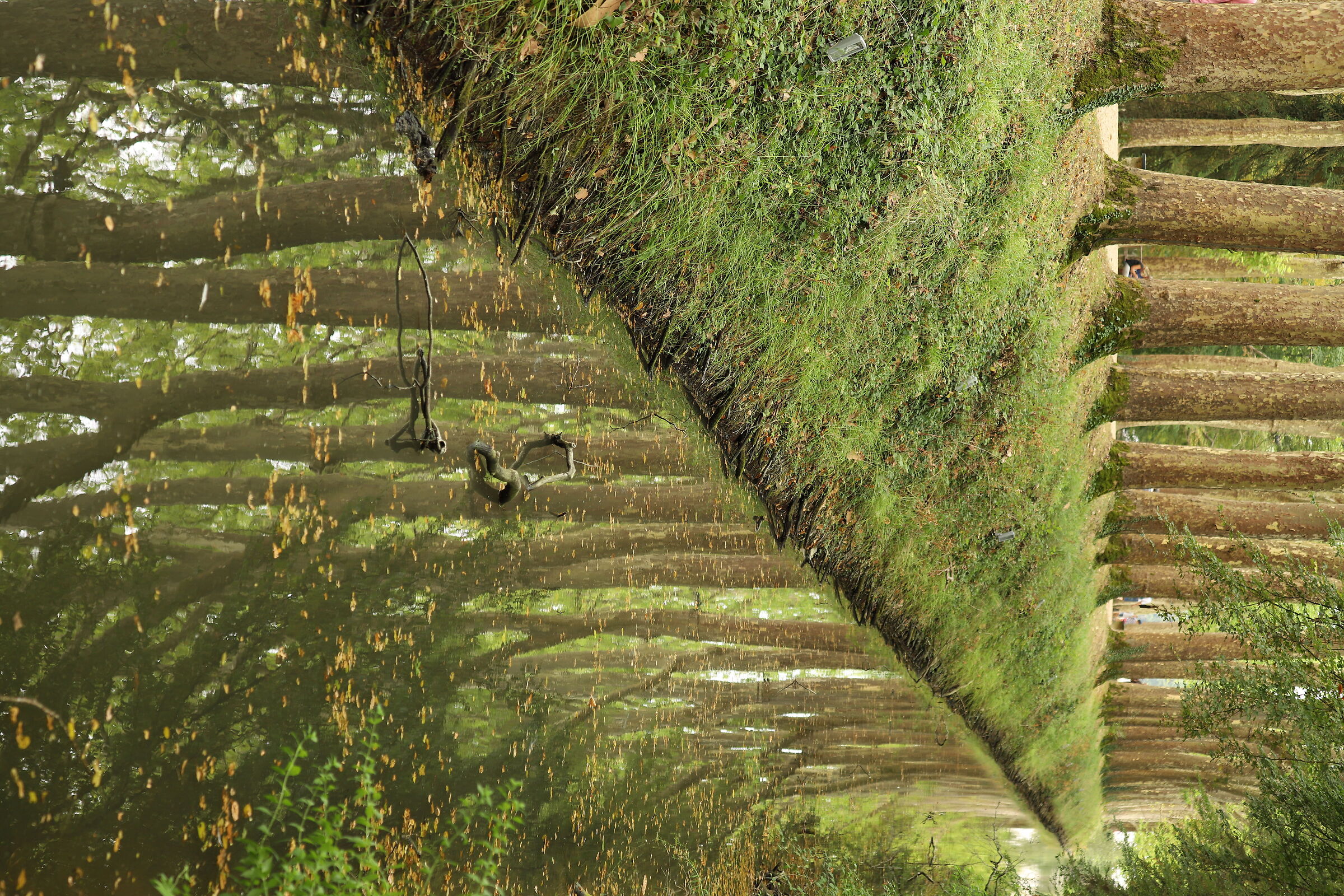 il parco attorno a Chenonceau