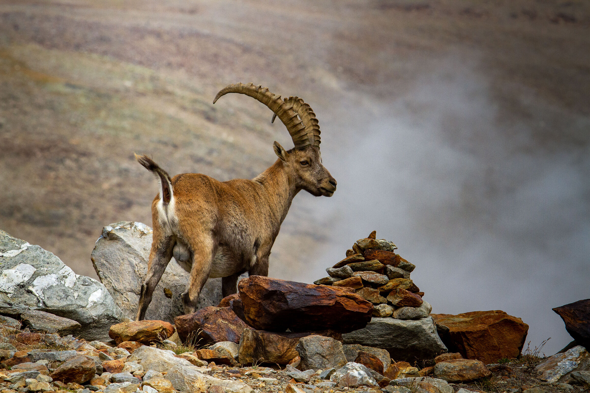Meetings in Val Senales 3000 meters
