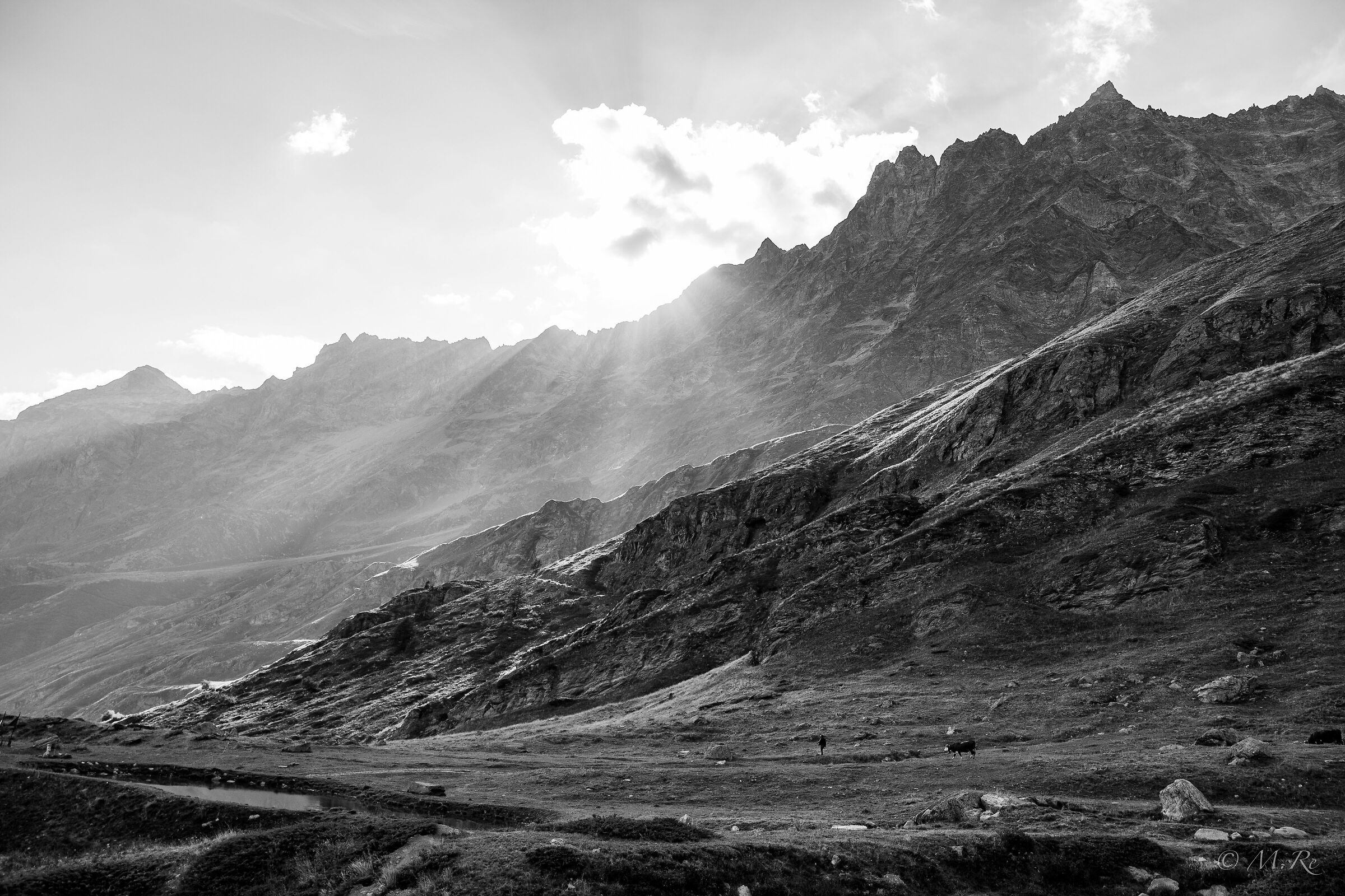 Meadows above Cervinia