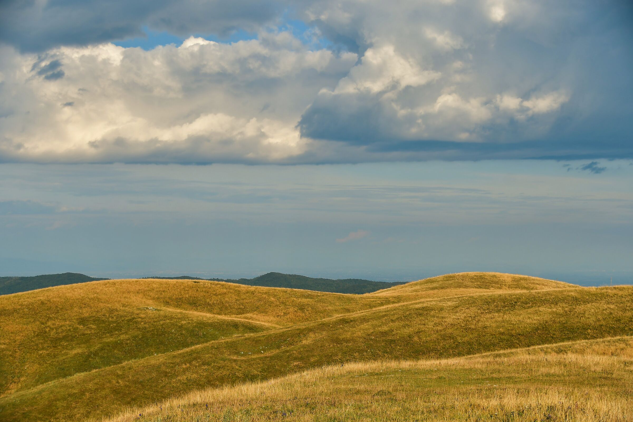 Simplicity. Harmony. Contrsto.