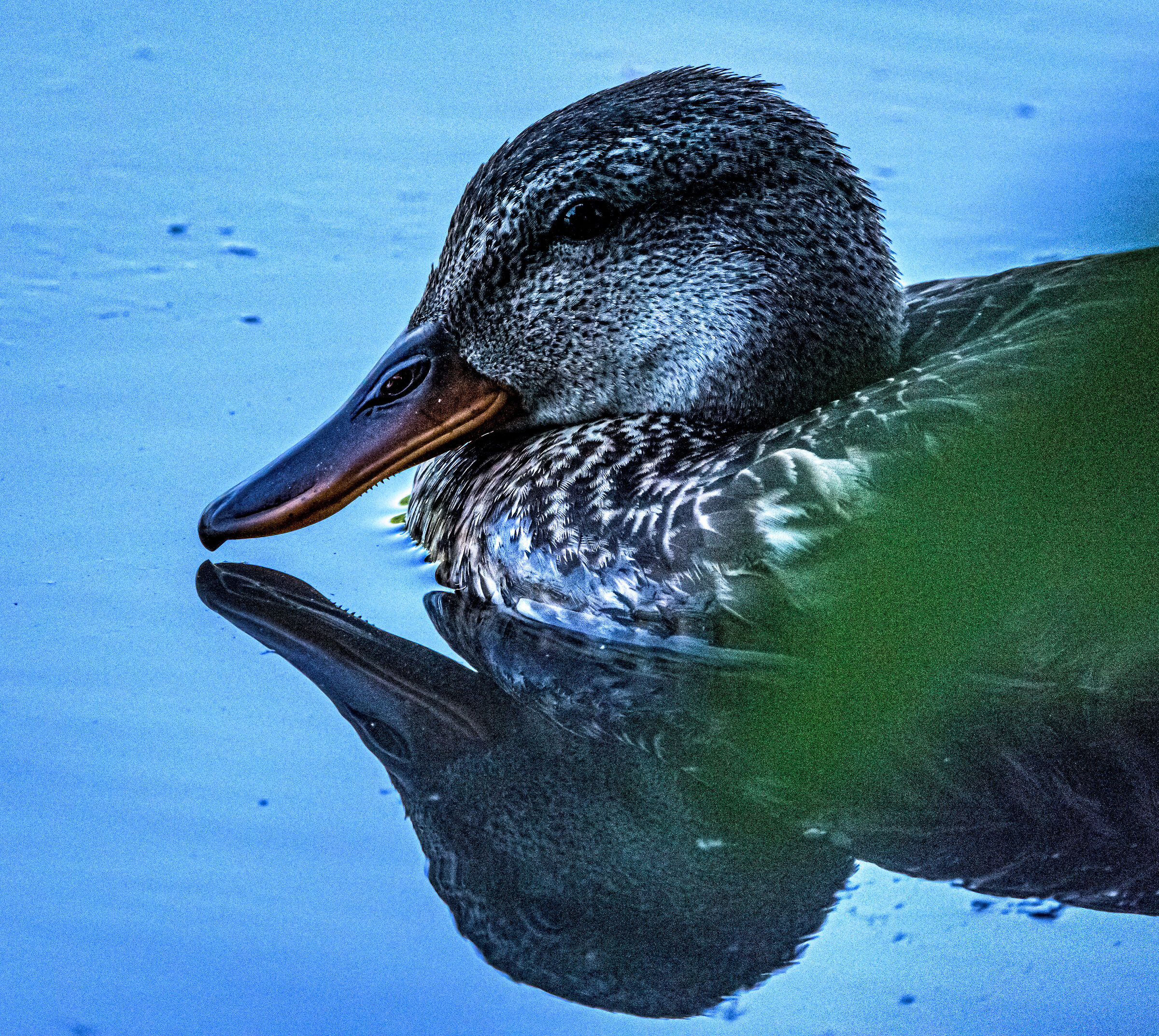 Stork Park Racconigi .002