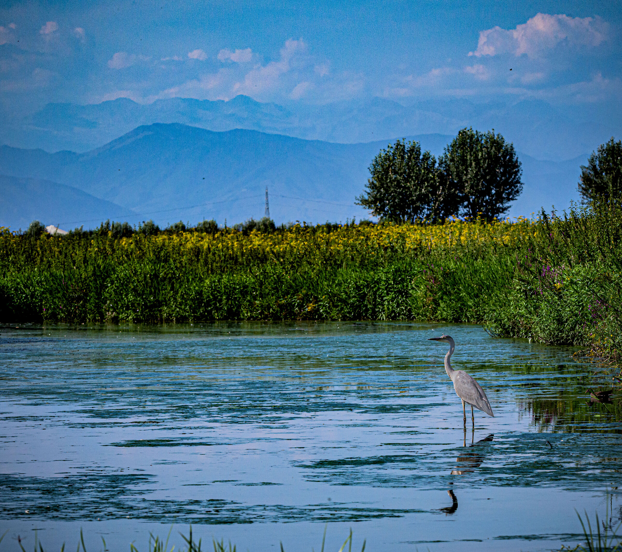 Stork Park Racconigi .003