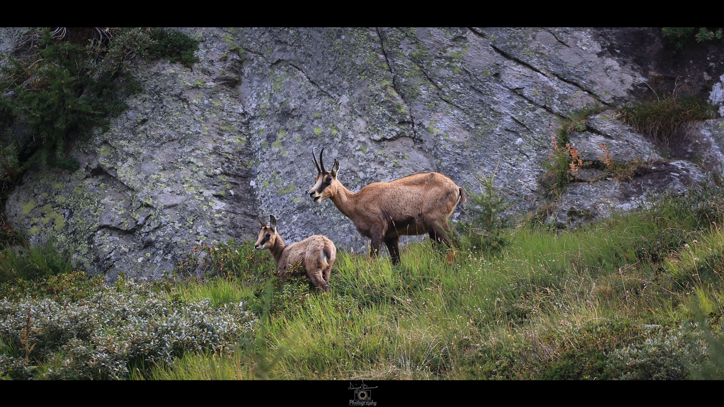 In silenzio nella natura