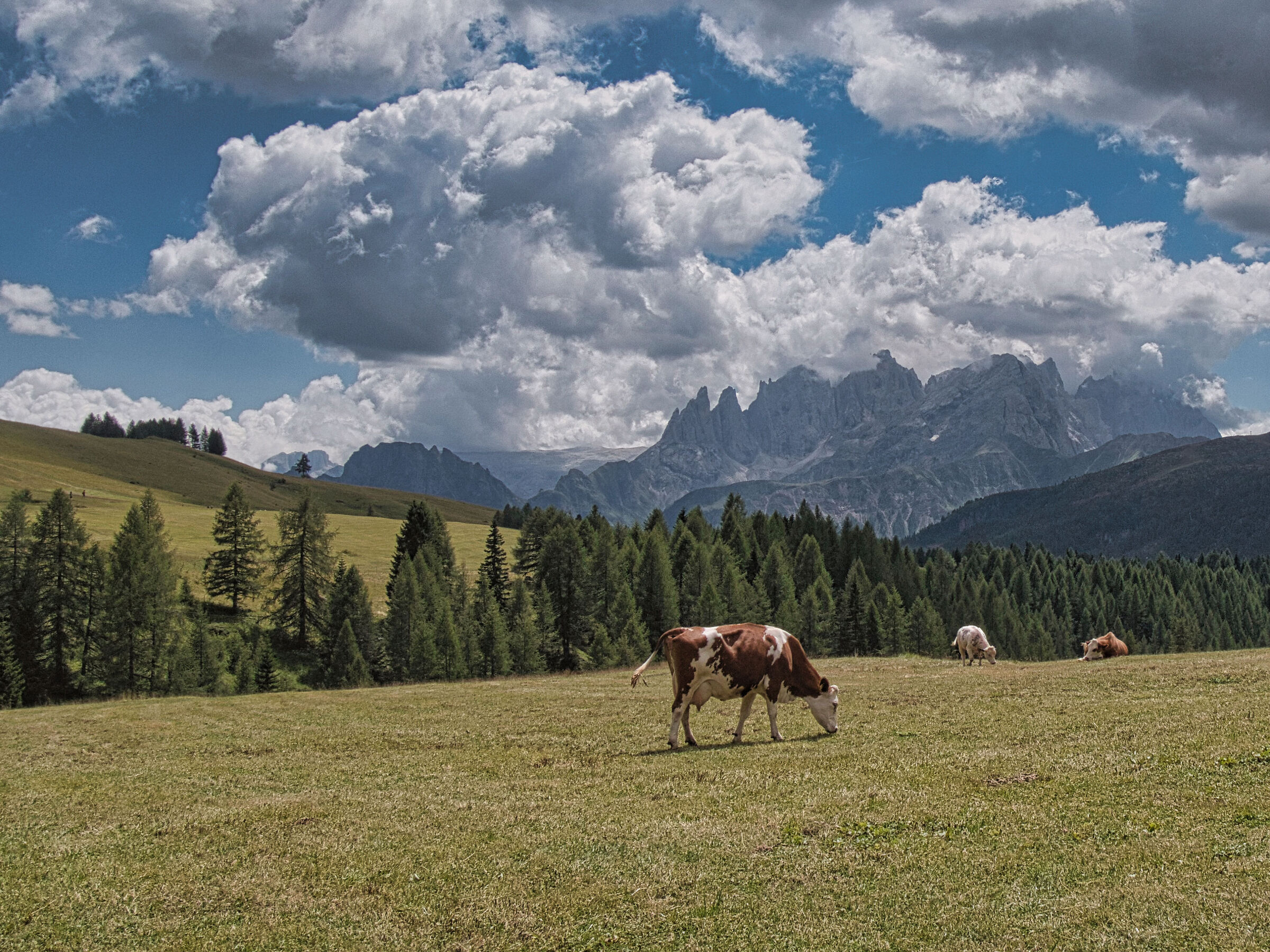 Pastures along the way to the Fulgiade refuge