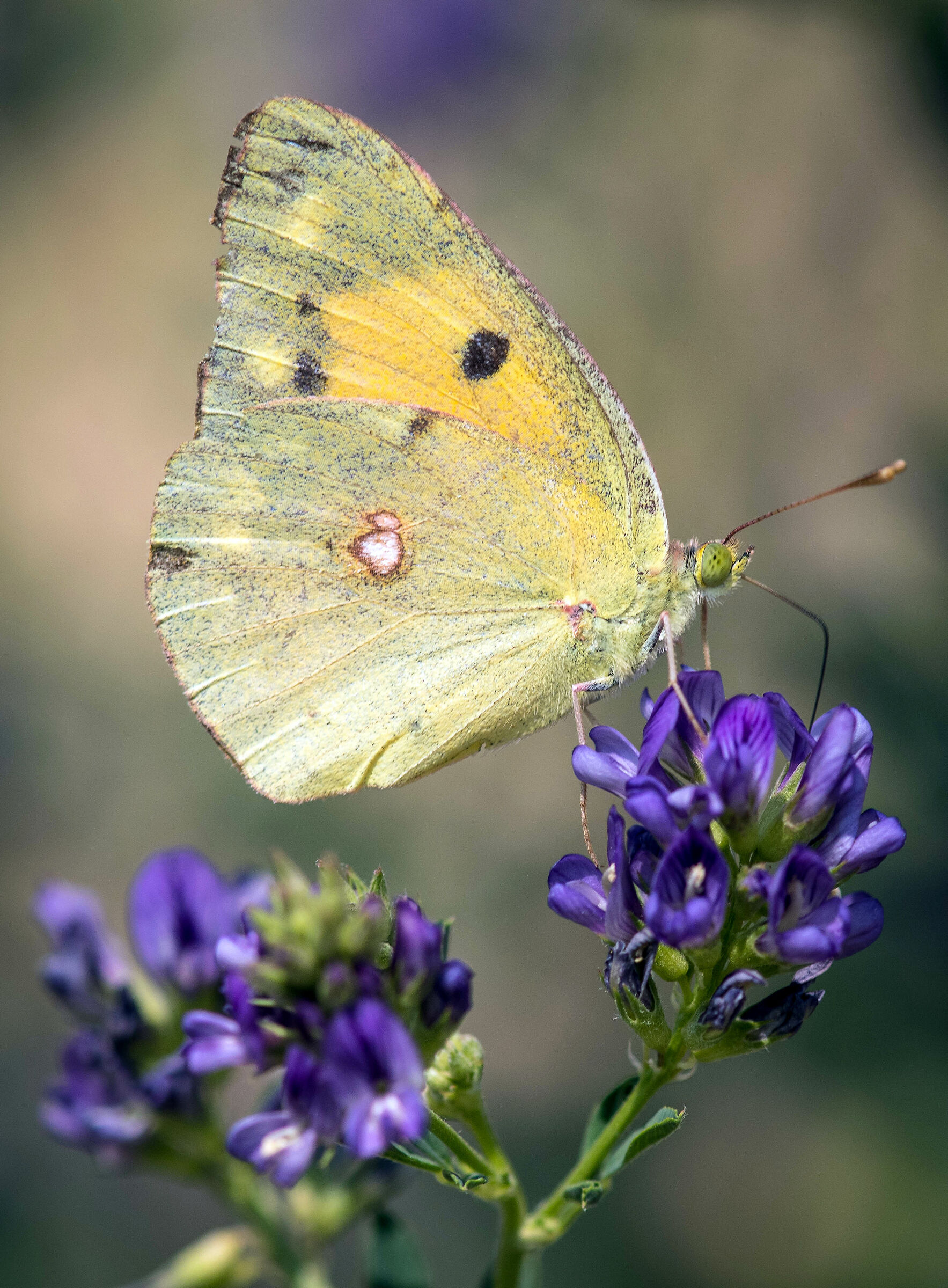 The end of summer ...