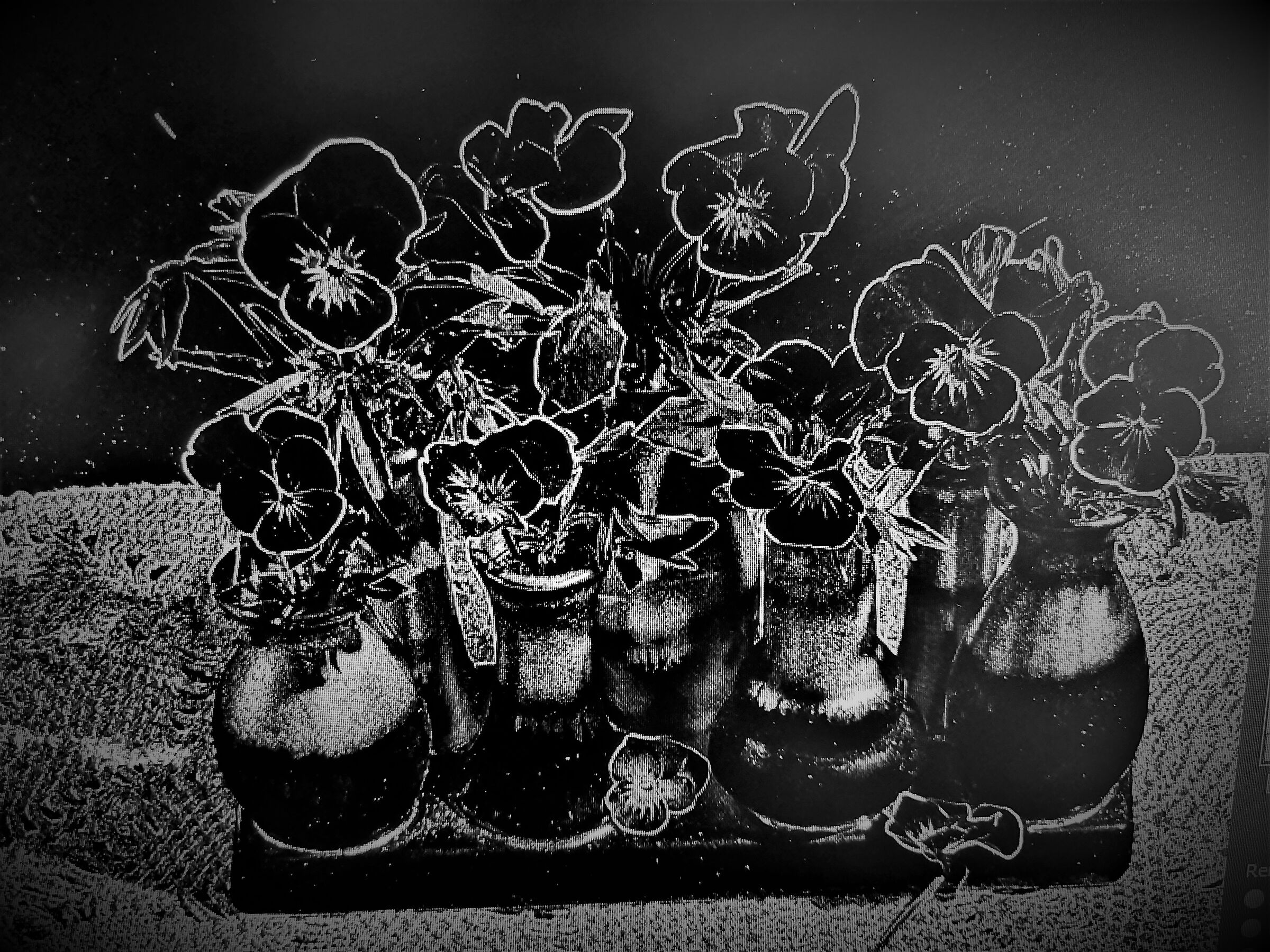 This is the 69th shot ...