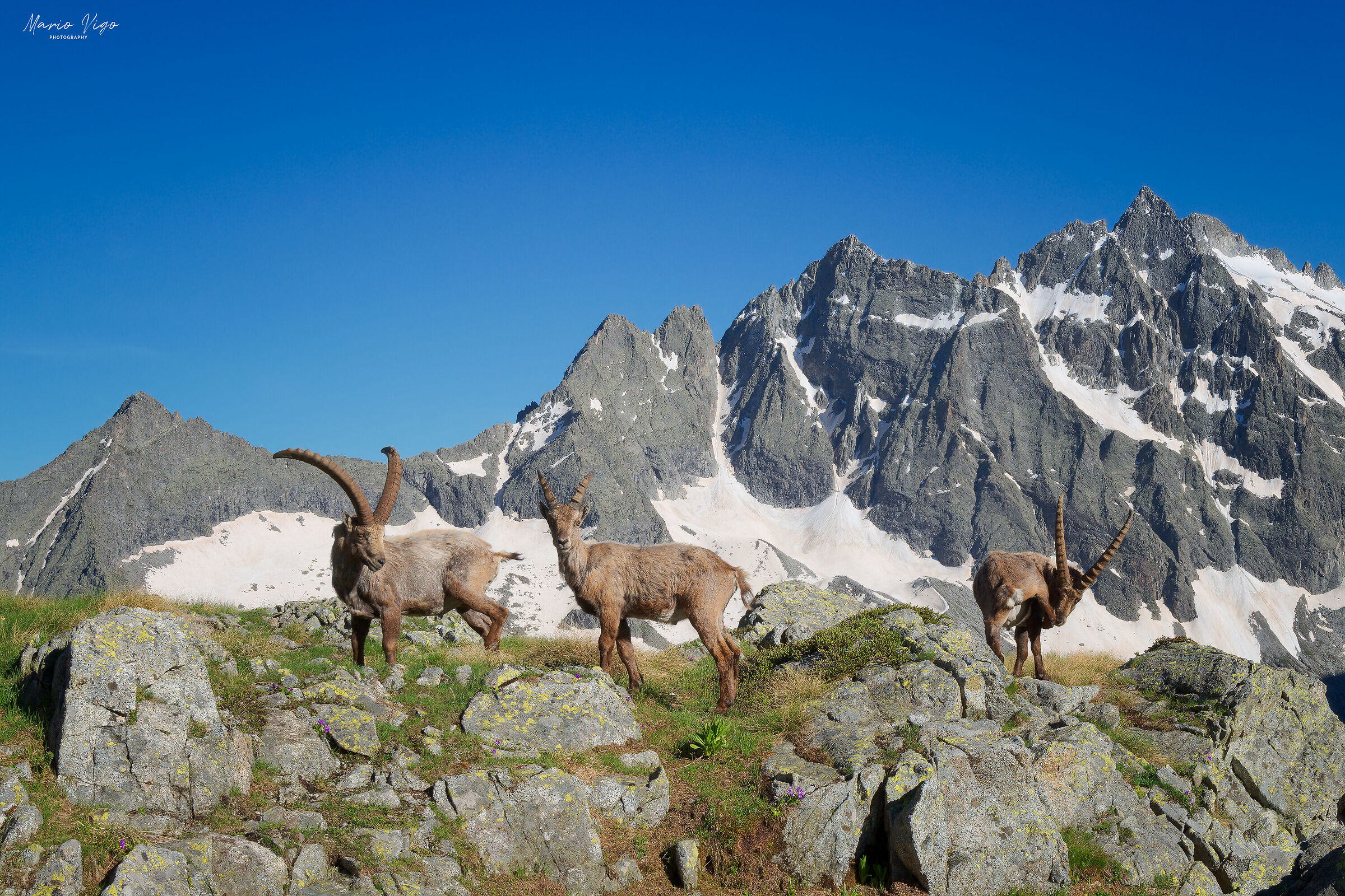 Incontri ravvicinati