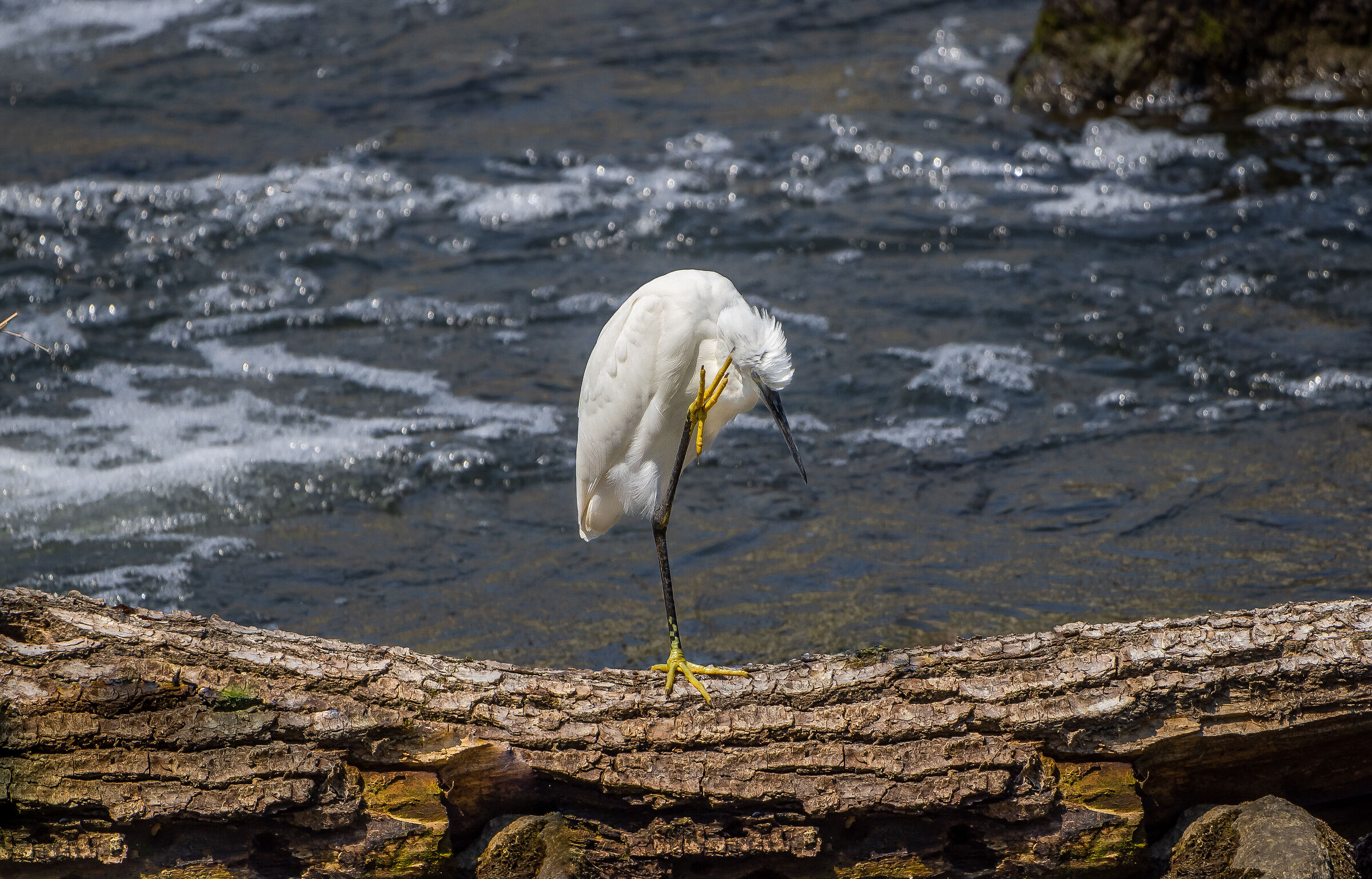 Just photos you know I'm ashamed .....