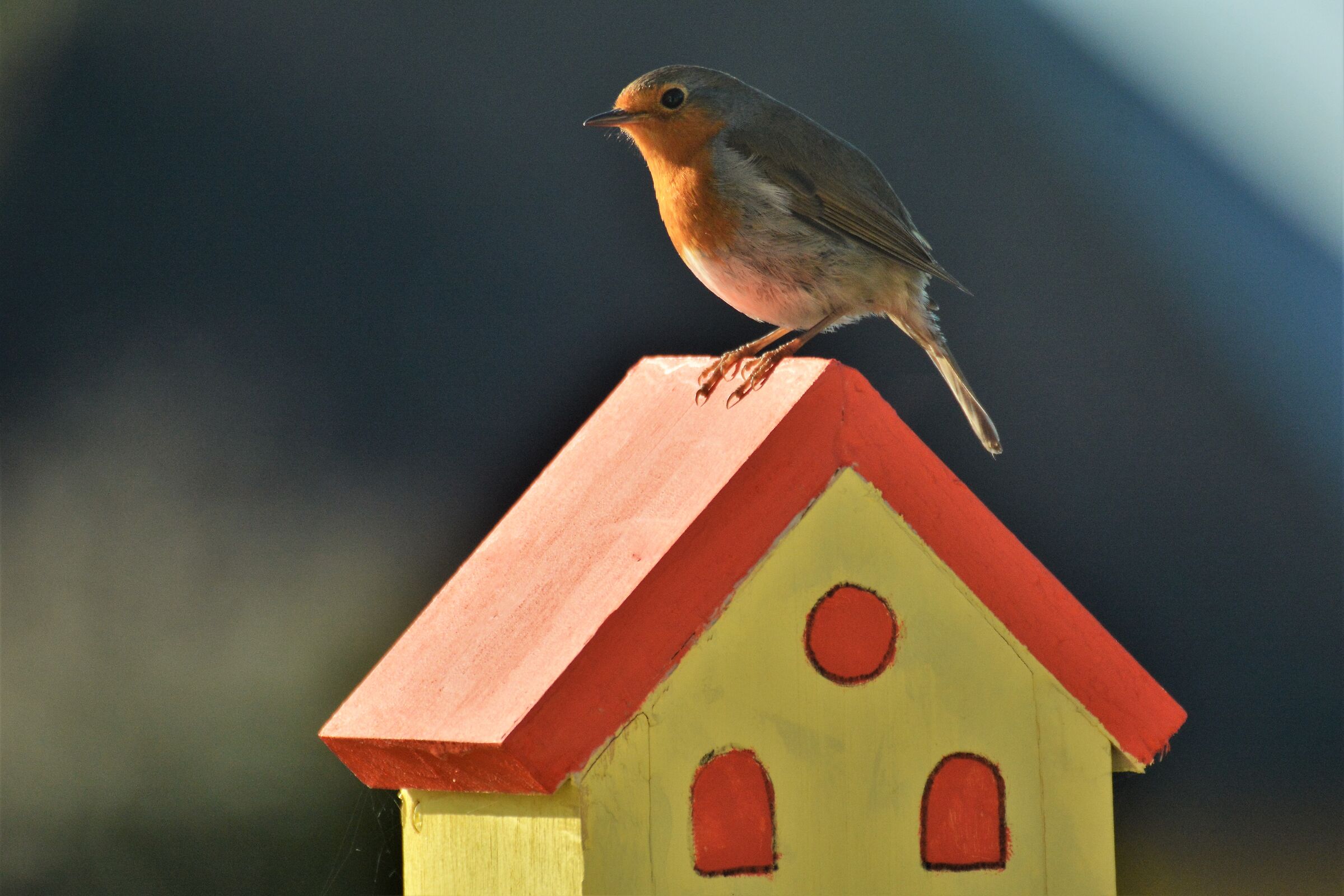 Guarding the little house