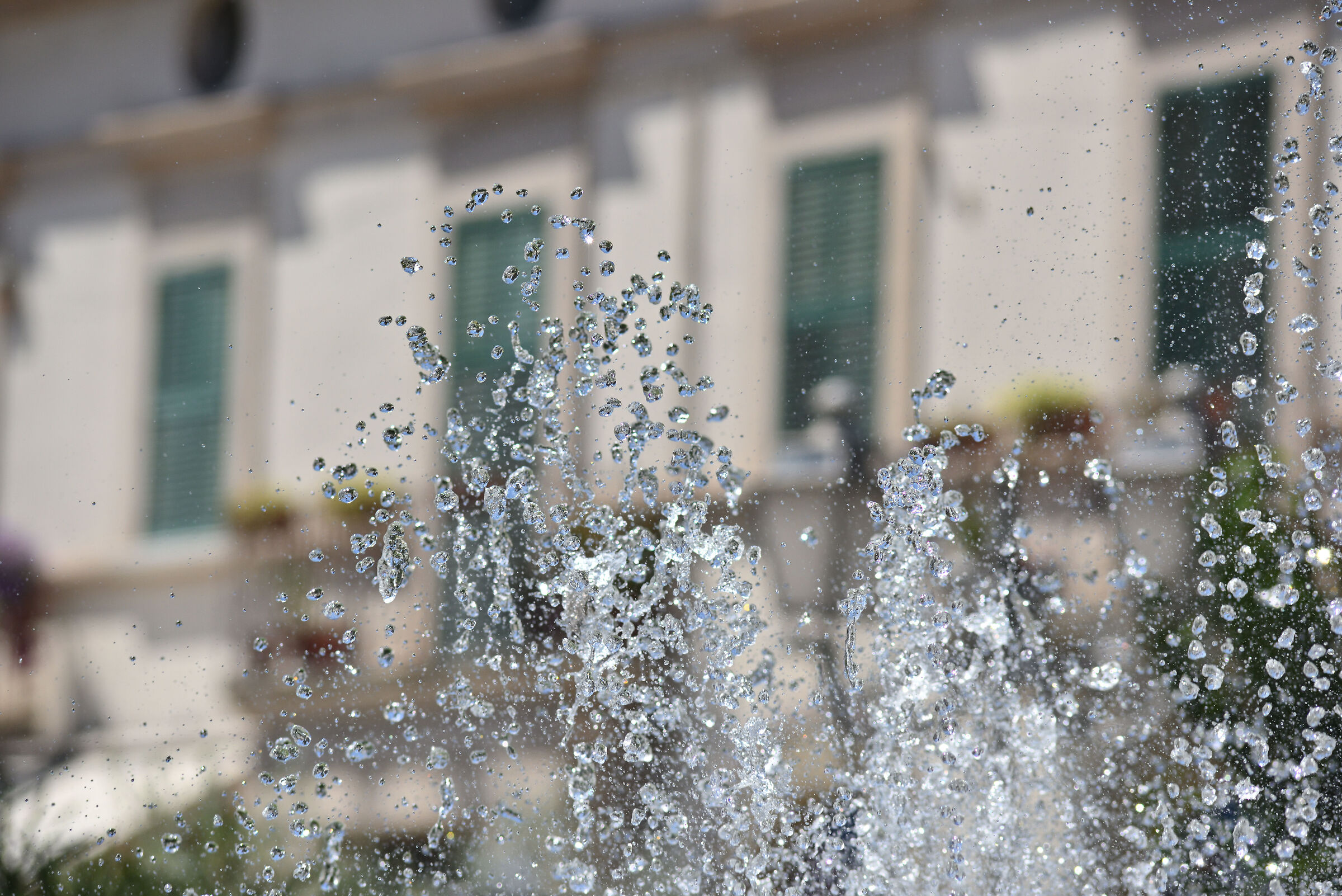 Test Nikkor C car 80-200 f4.5 -focal 135