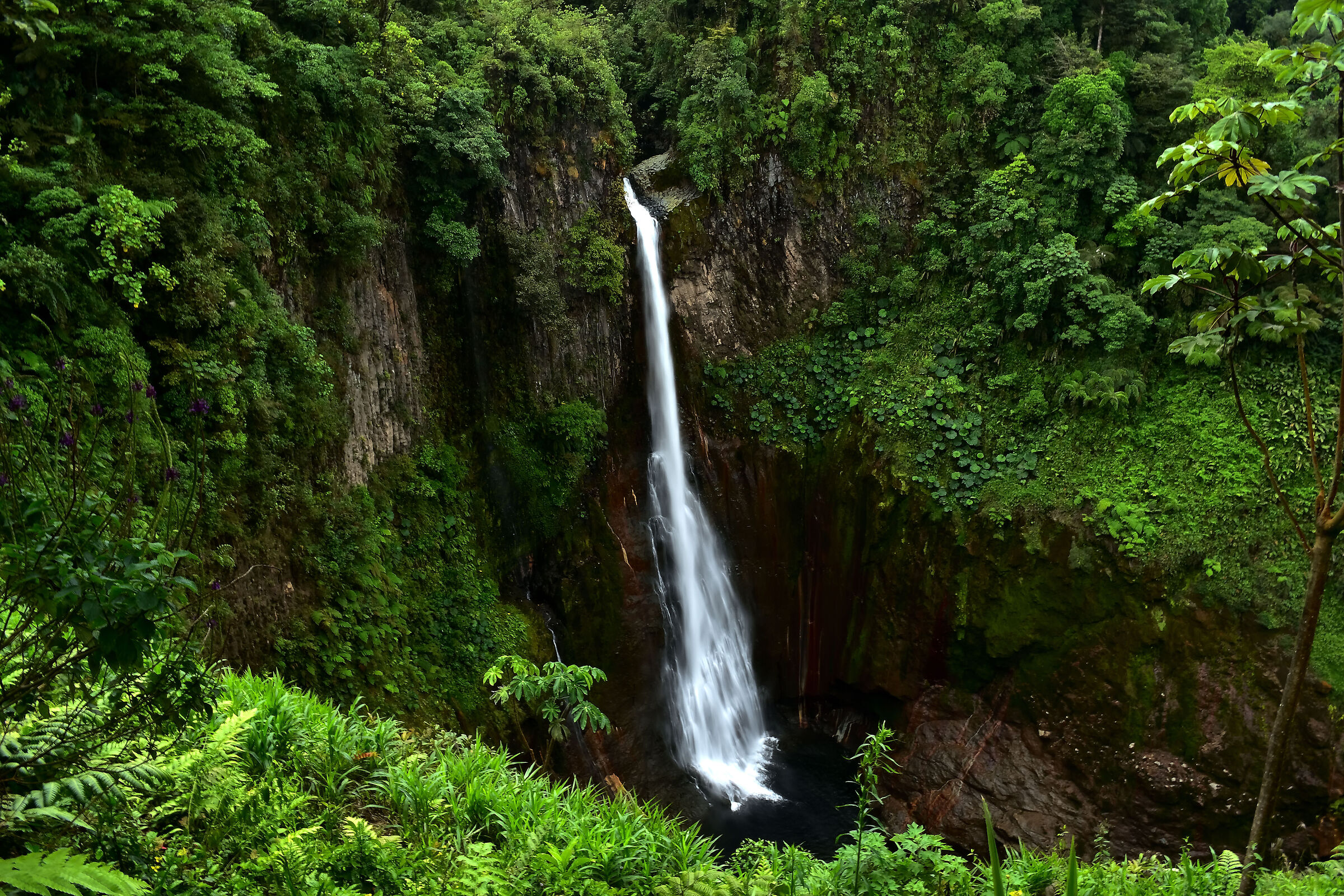 Welcome to Jurassic Park! The secret of Costa Rica