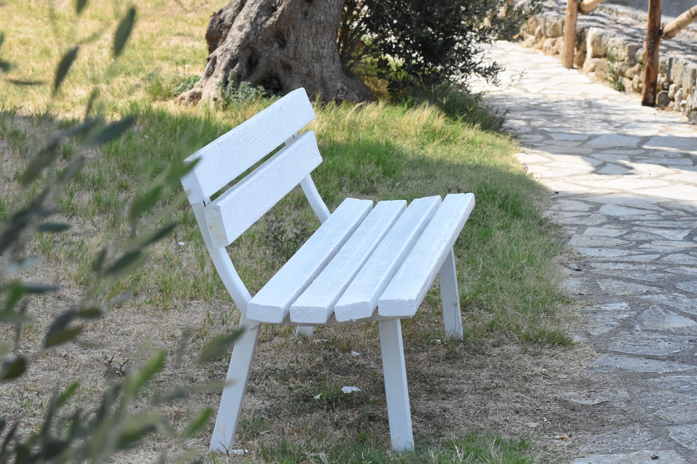 " 1/ 8.0 0 0 ", F. 8, ISO 4.0 0 0- Sigma 85, 1.4 A...