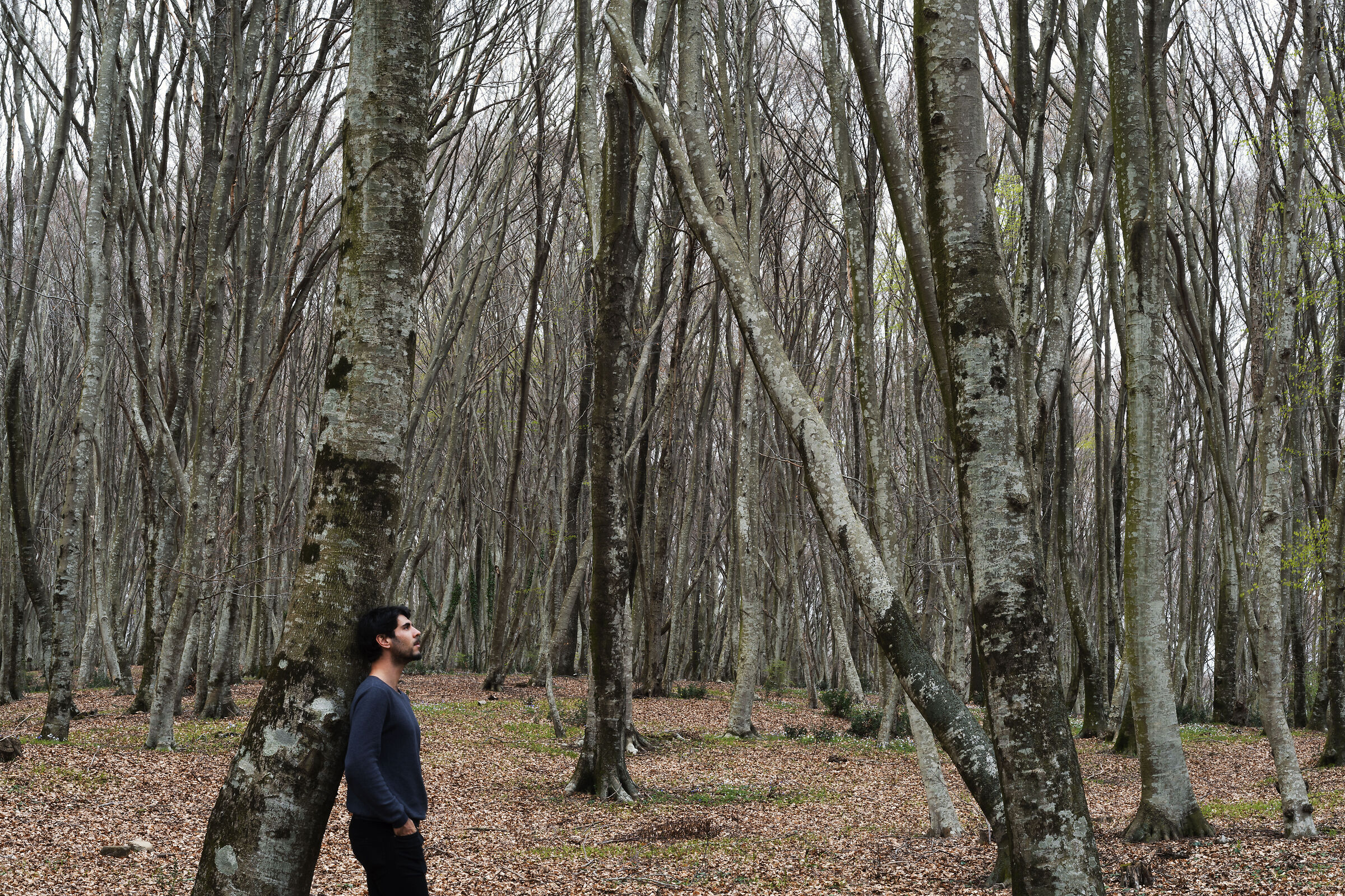 Autoscatto alla faggeta..