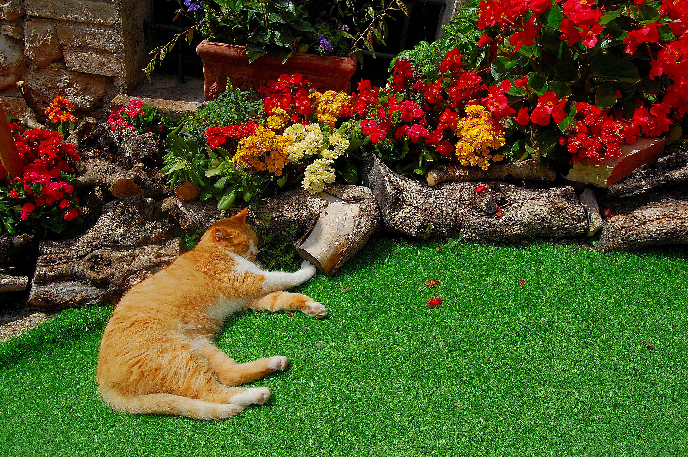 Who is better off than me?