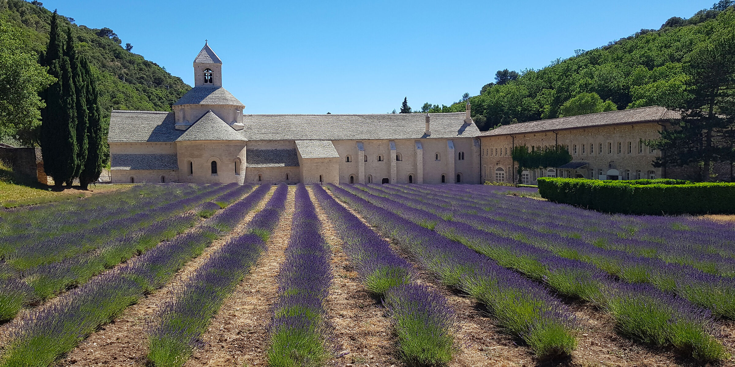 Abbazia di Sénanque