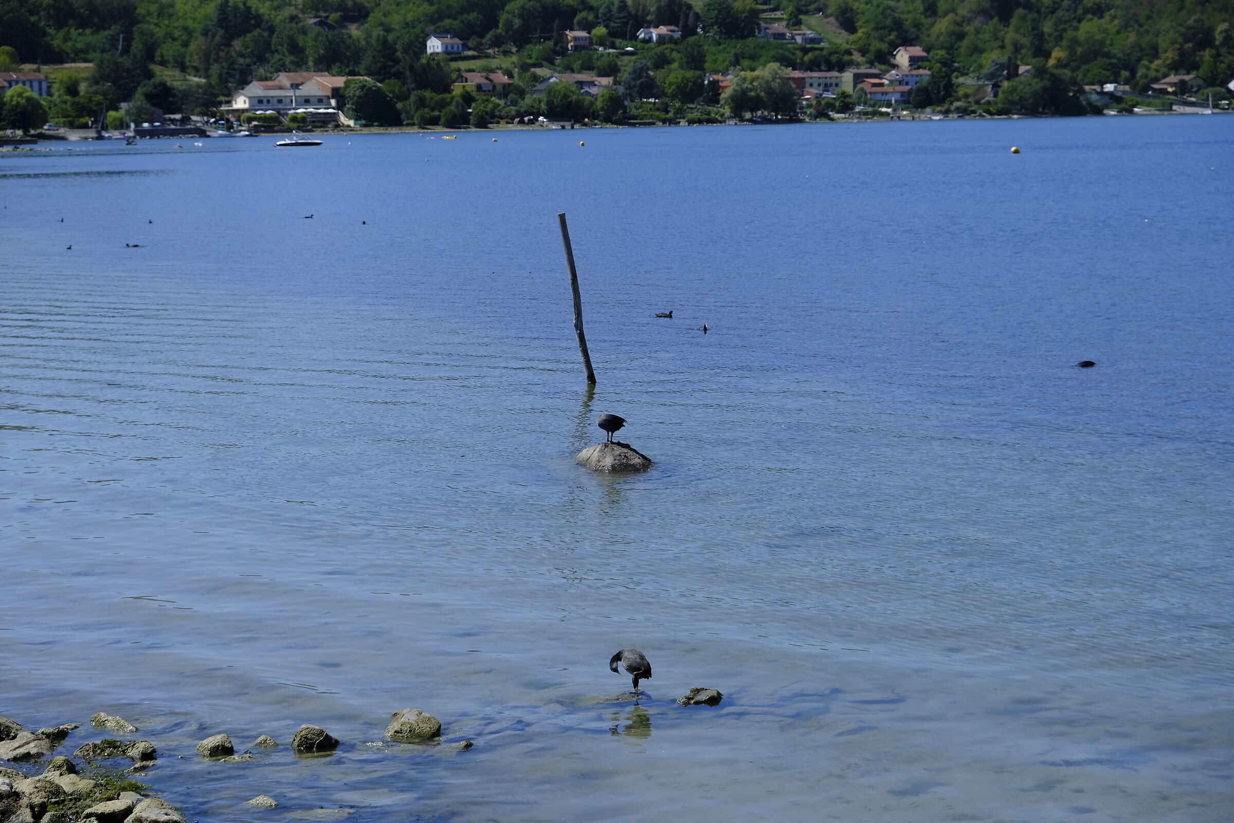 A walk to the lake (7)