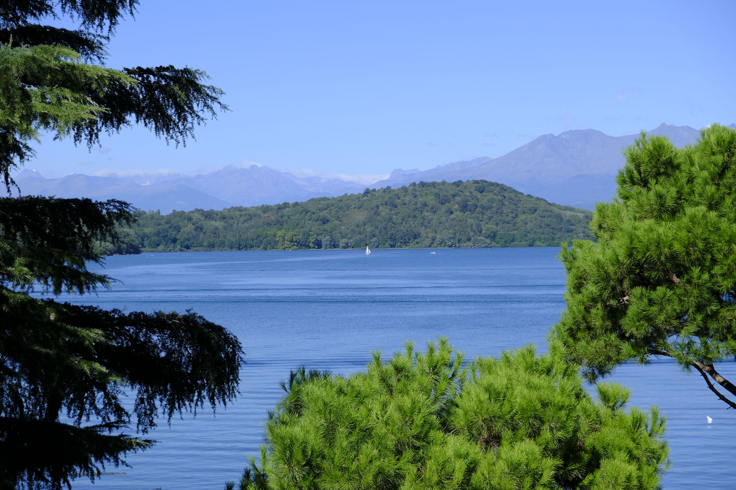 A walk to the lake (8)