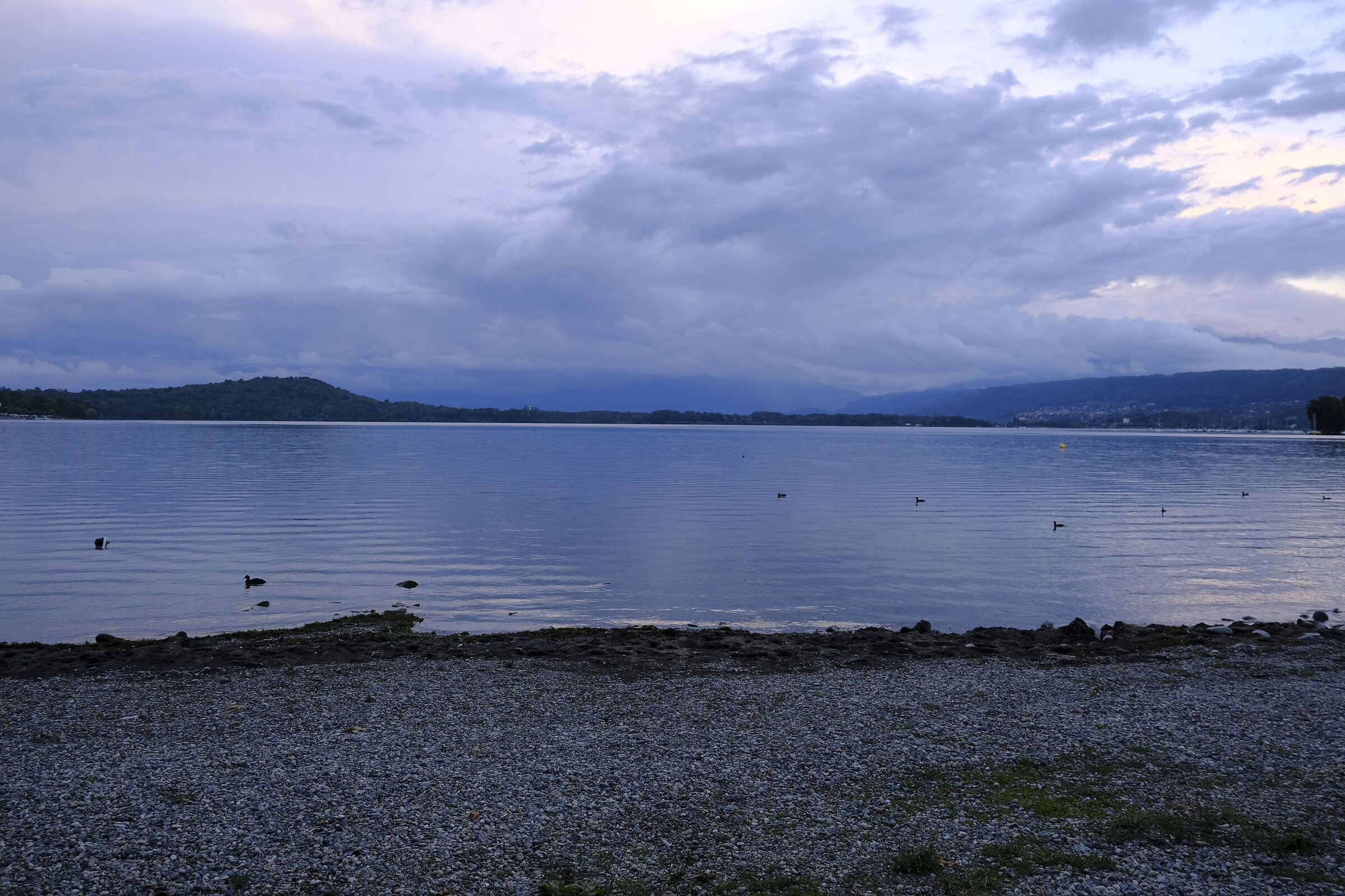 A walk to the lake (11)