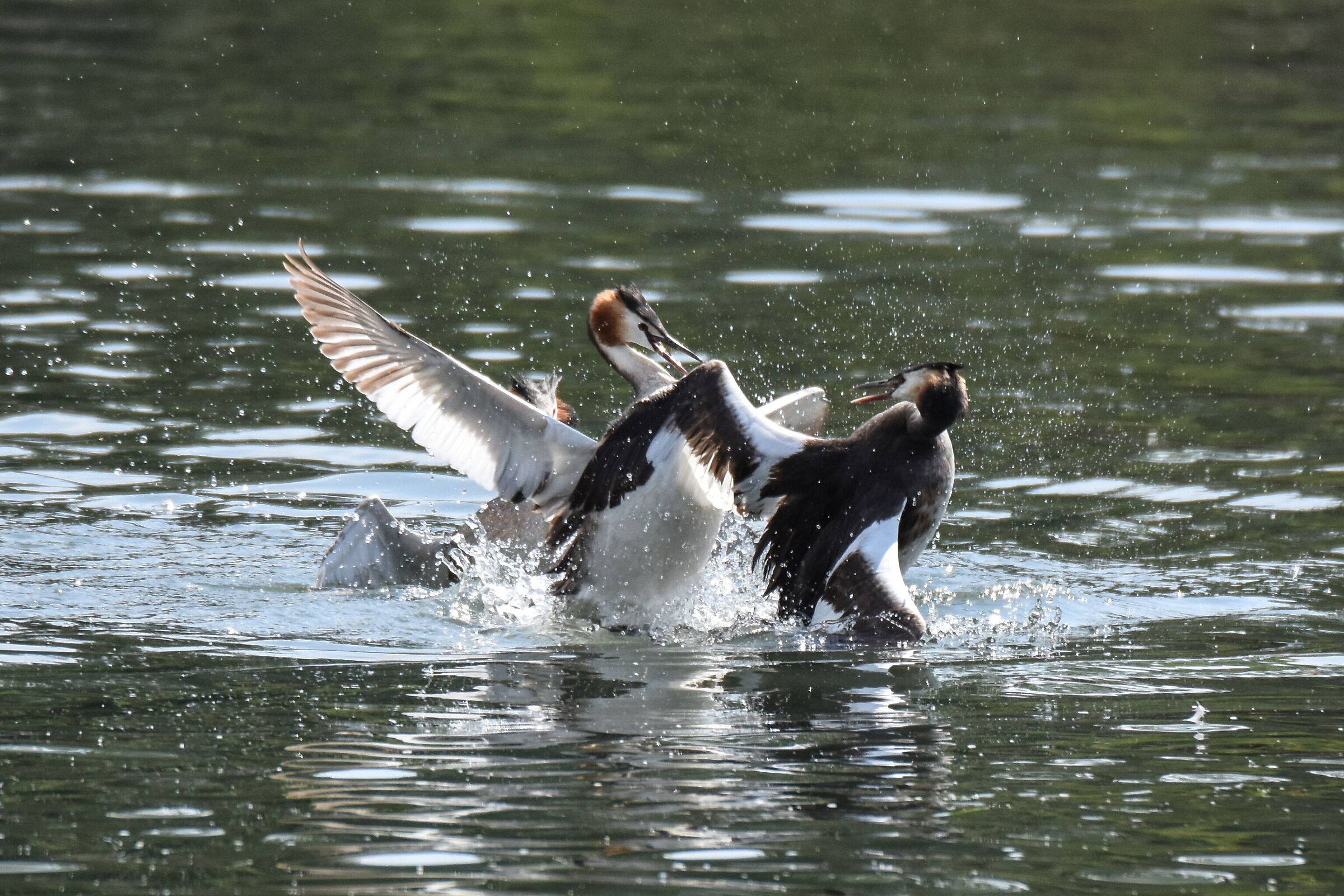 Untitled Photo