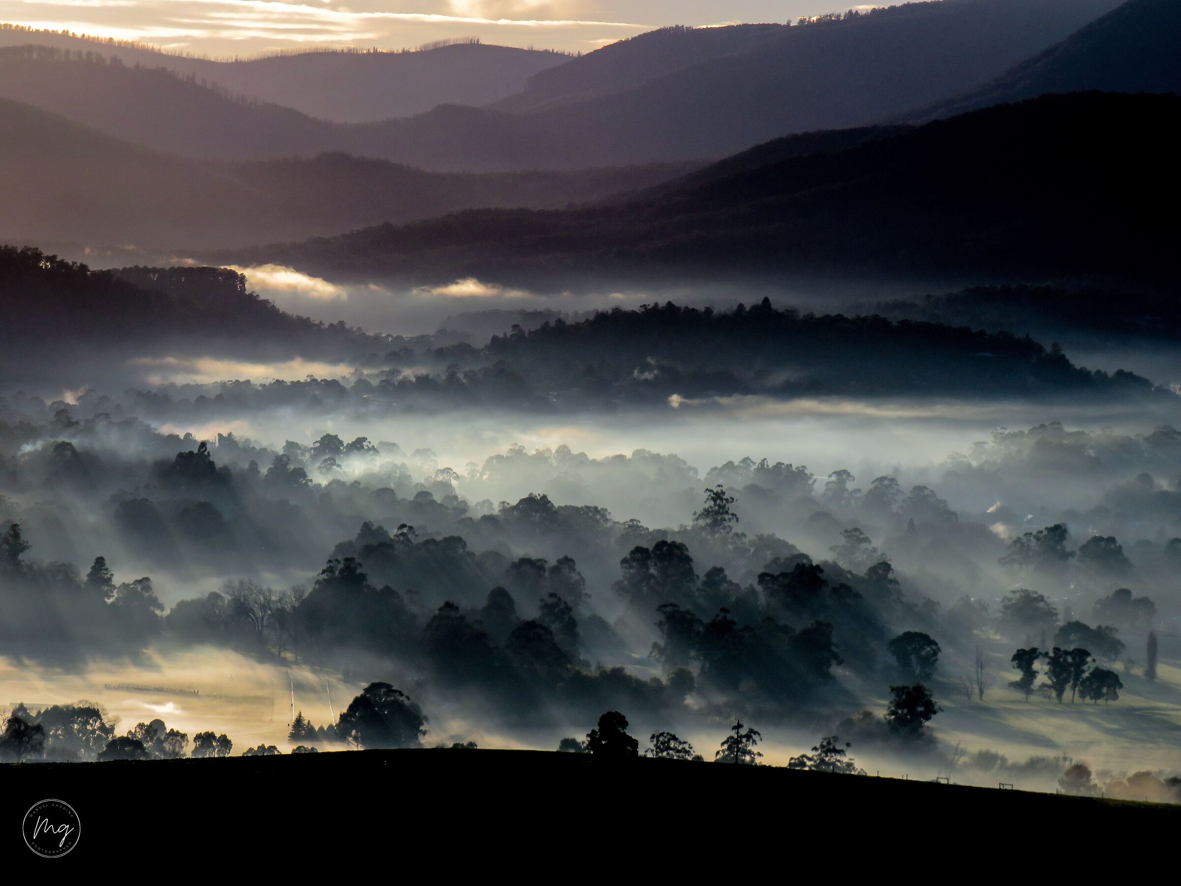 Foggy landscape