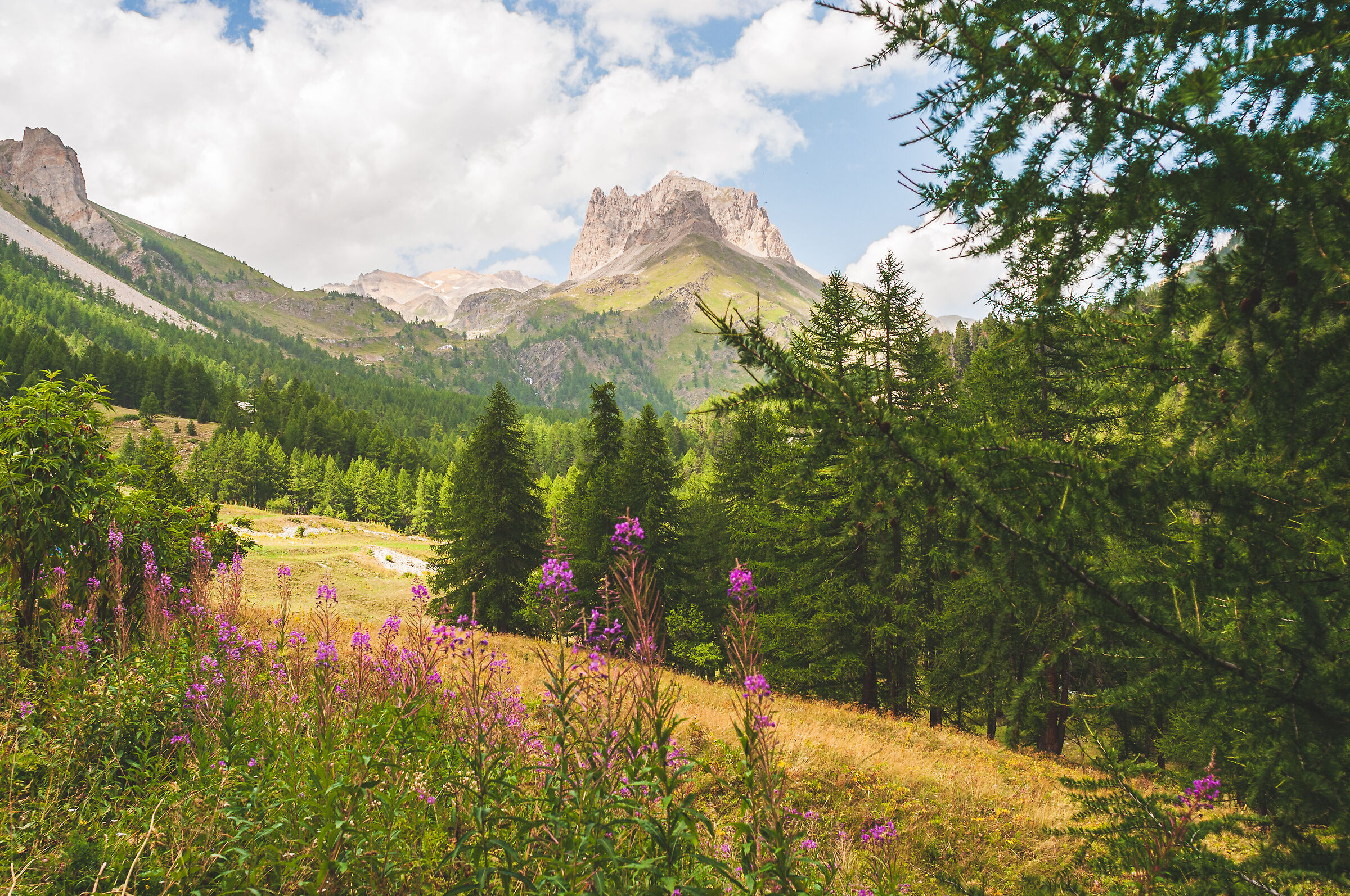 Bardonecchia Cottian Alps