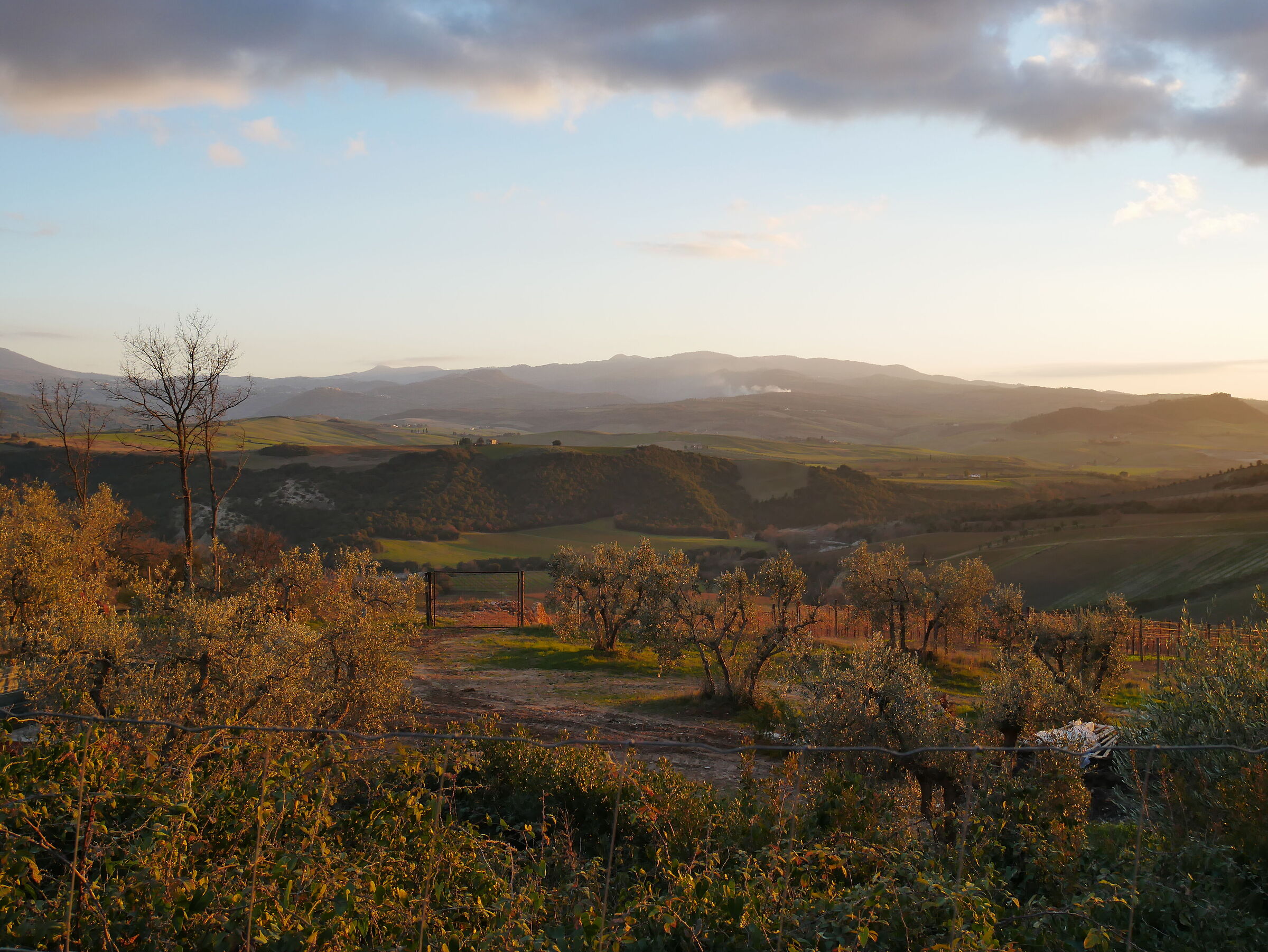 Tuscan countryside