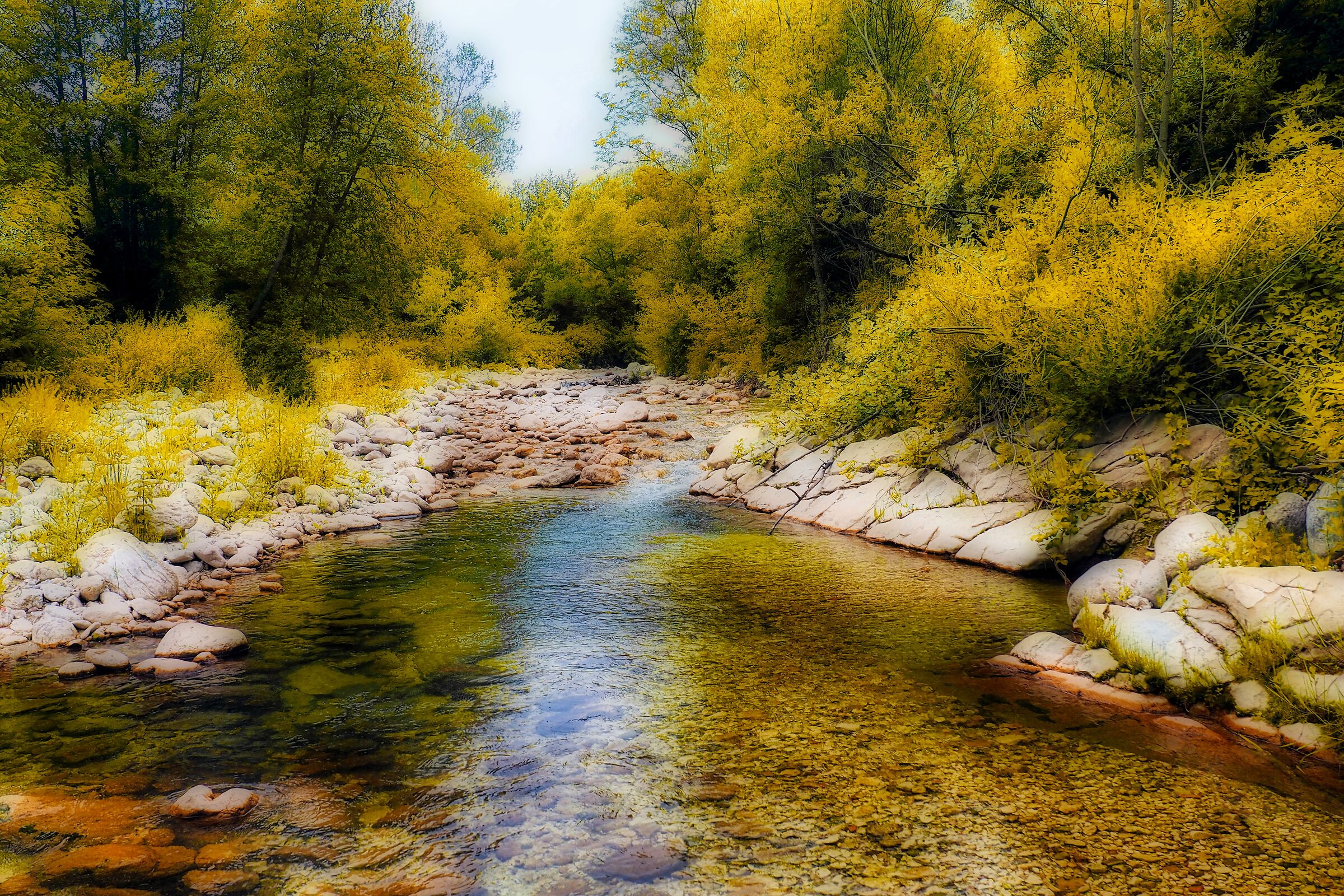 torrente