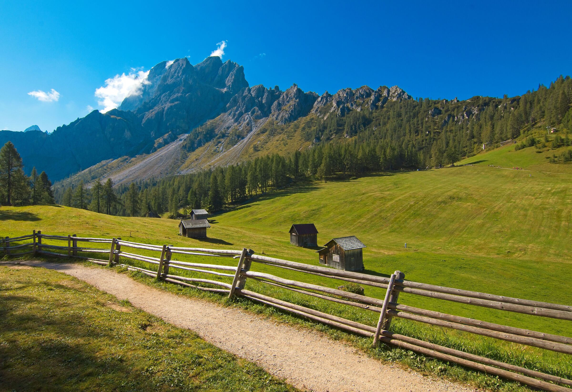 I prati di Croda Rossa