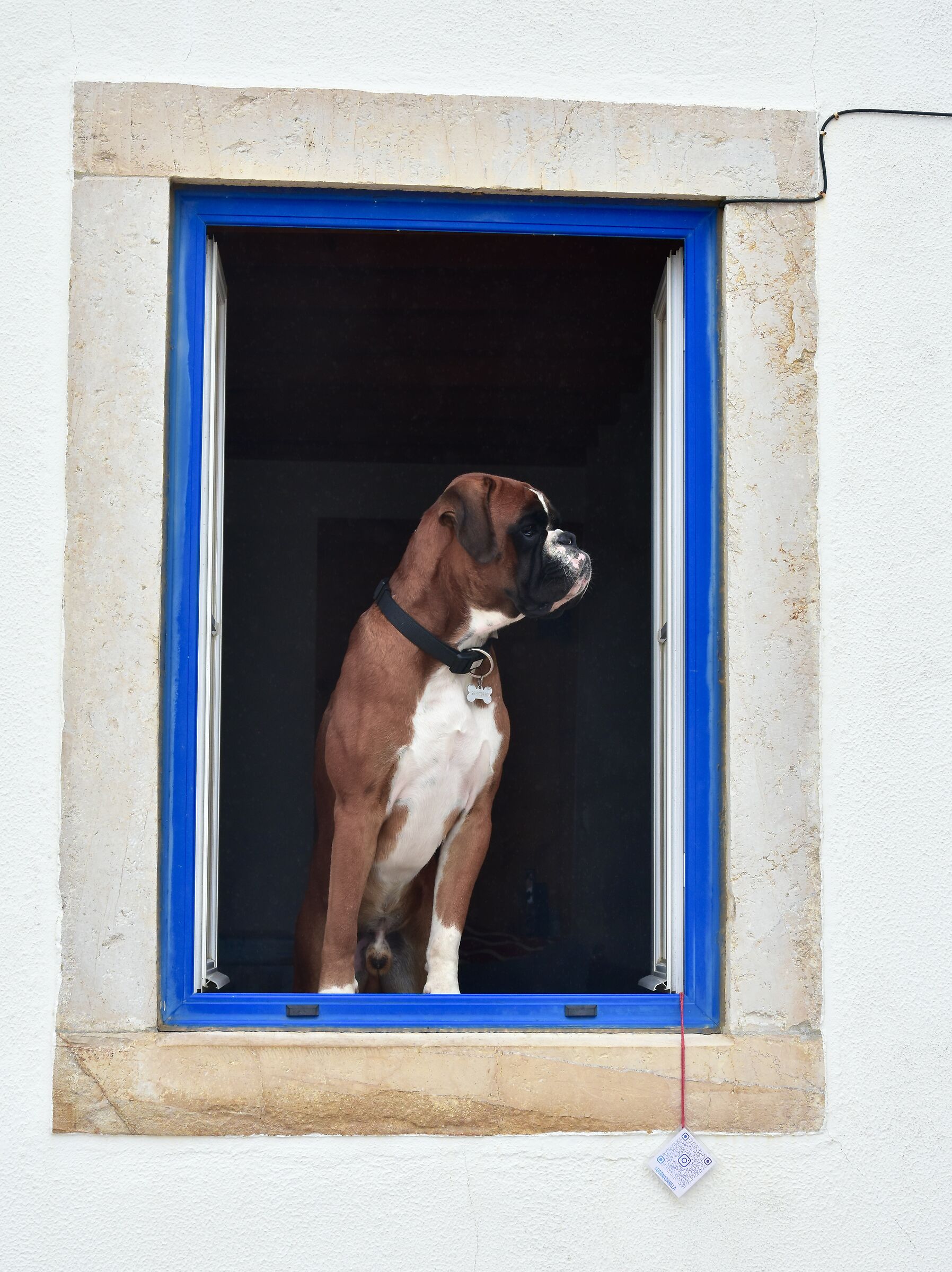 la guardia