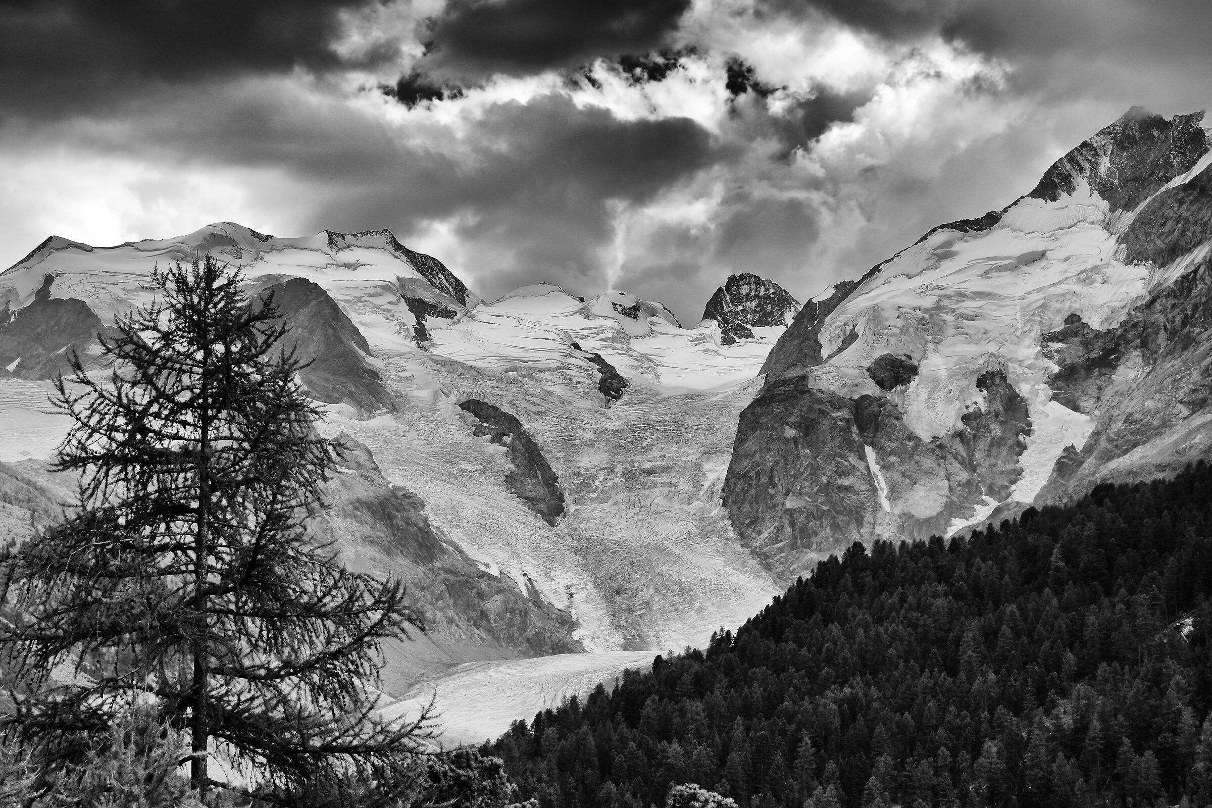 Morteratsch Glacier - 1