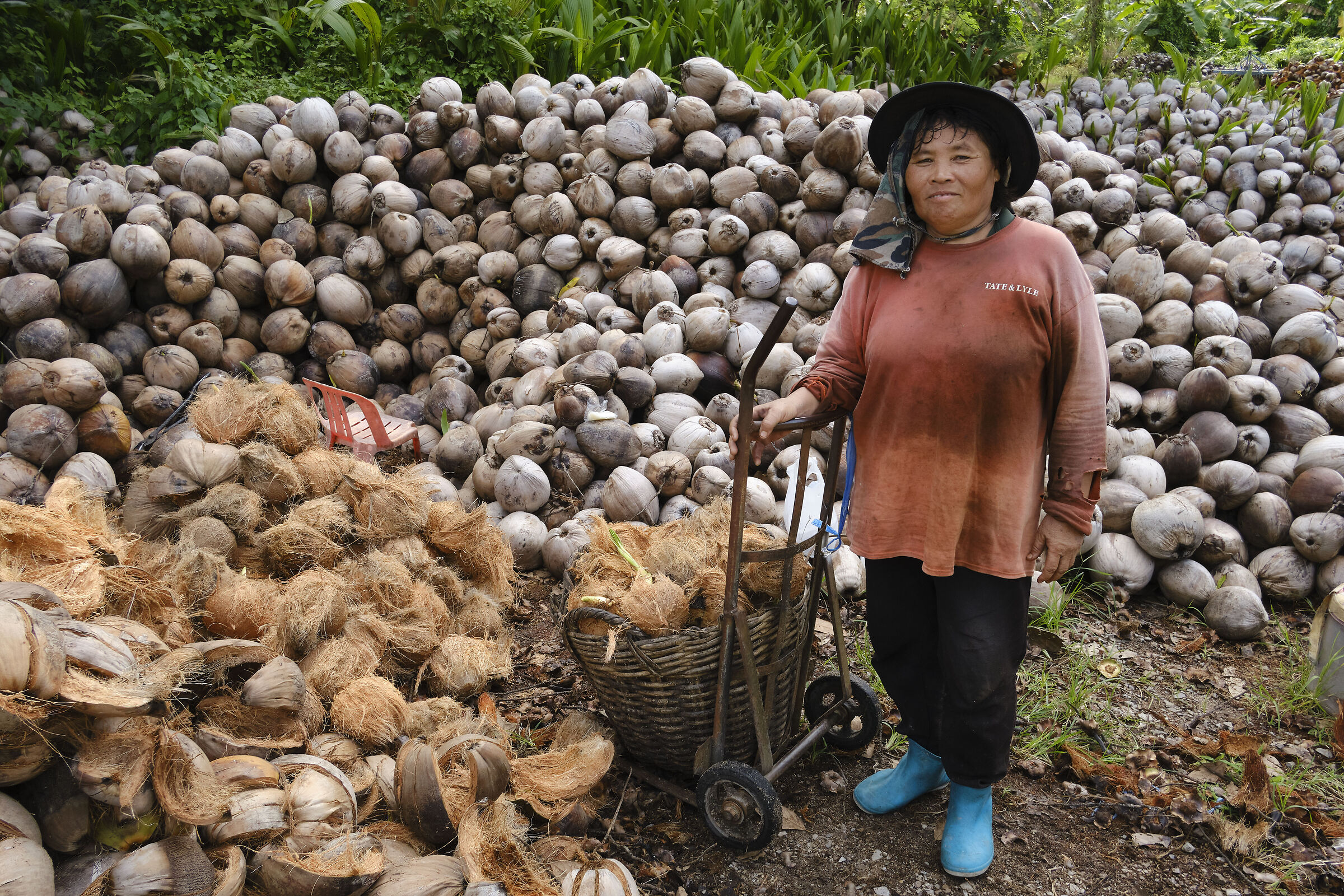 La signora dei cocchi