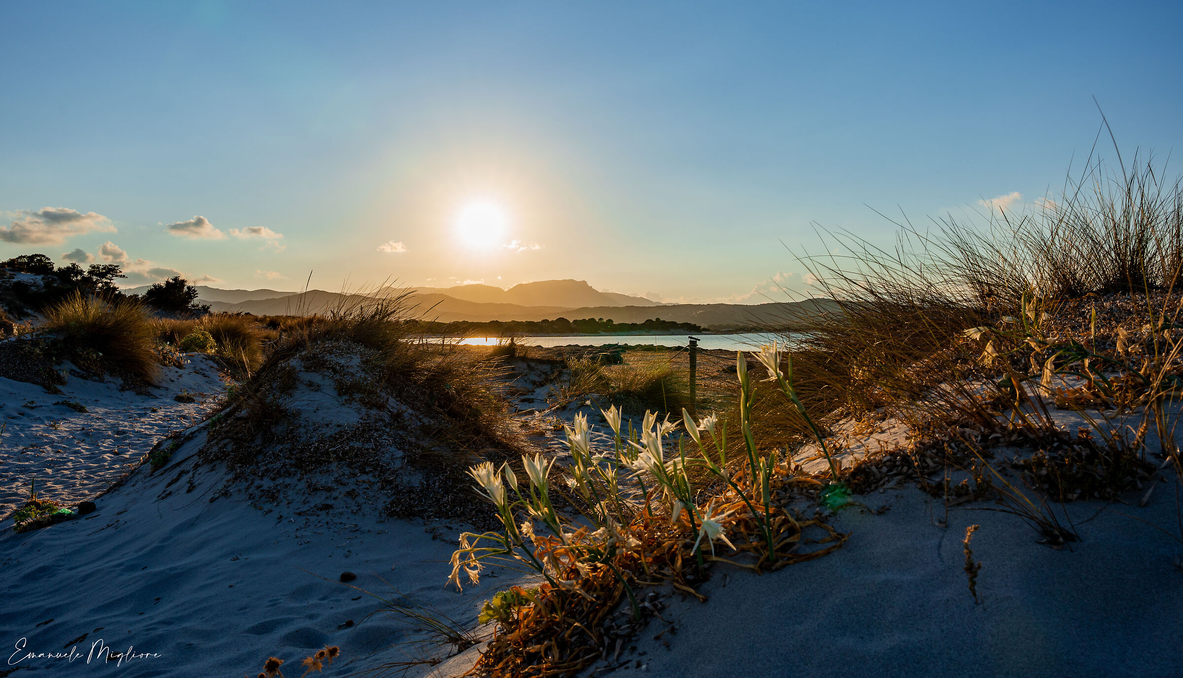 I gigli di capo Comino - Siniscola (nu)