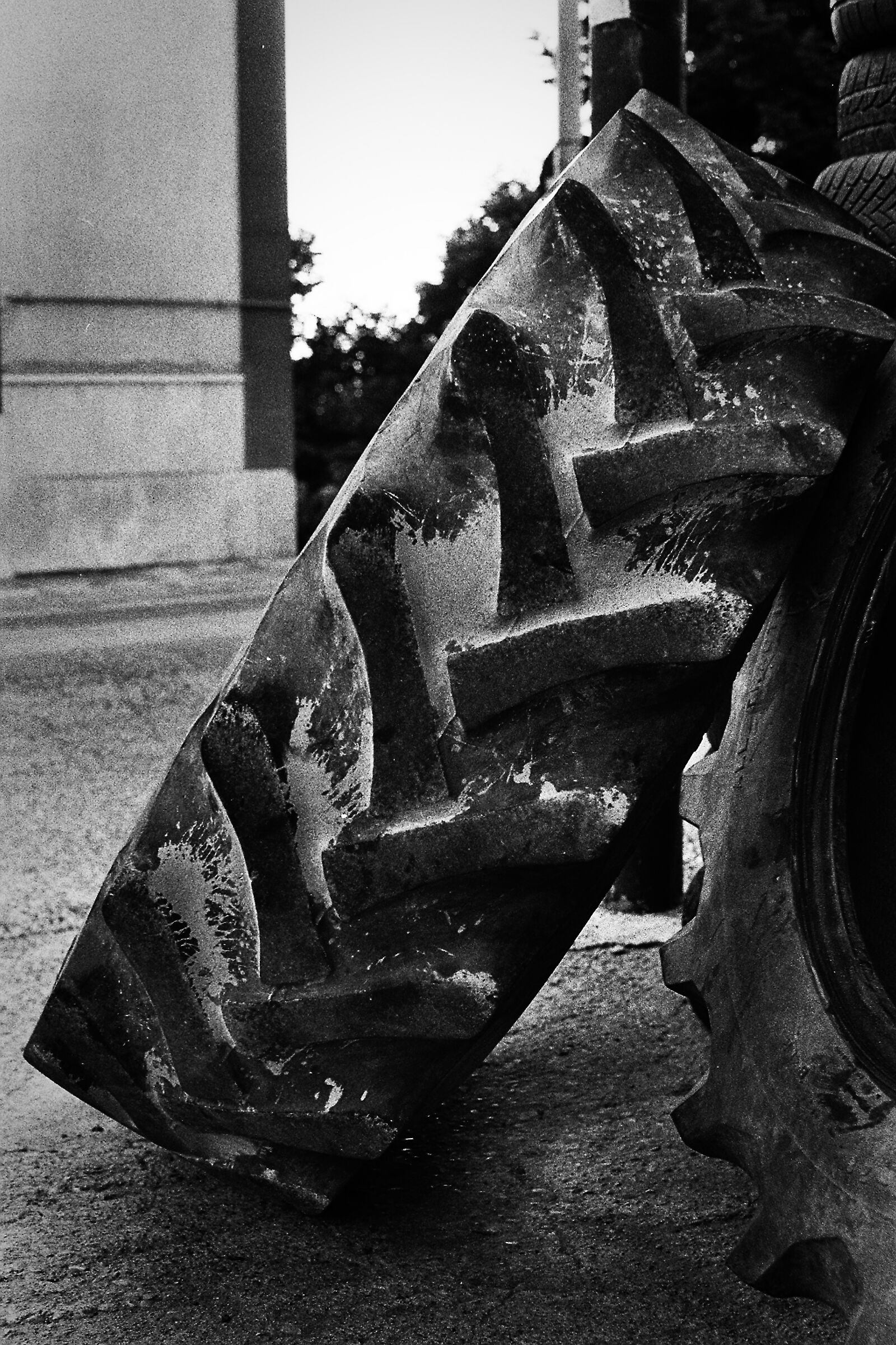 Wheel