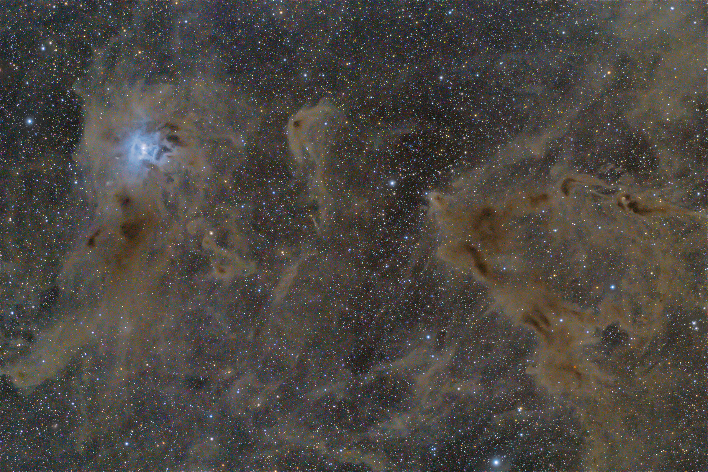 Iris nebula wide field