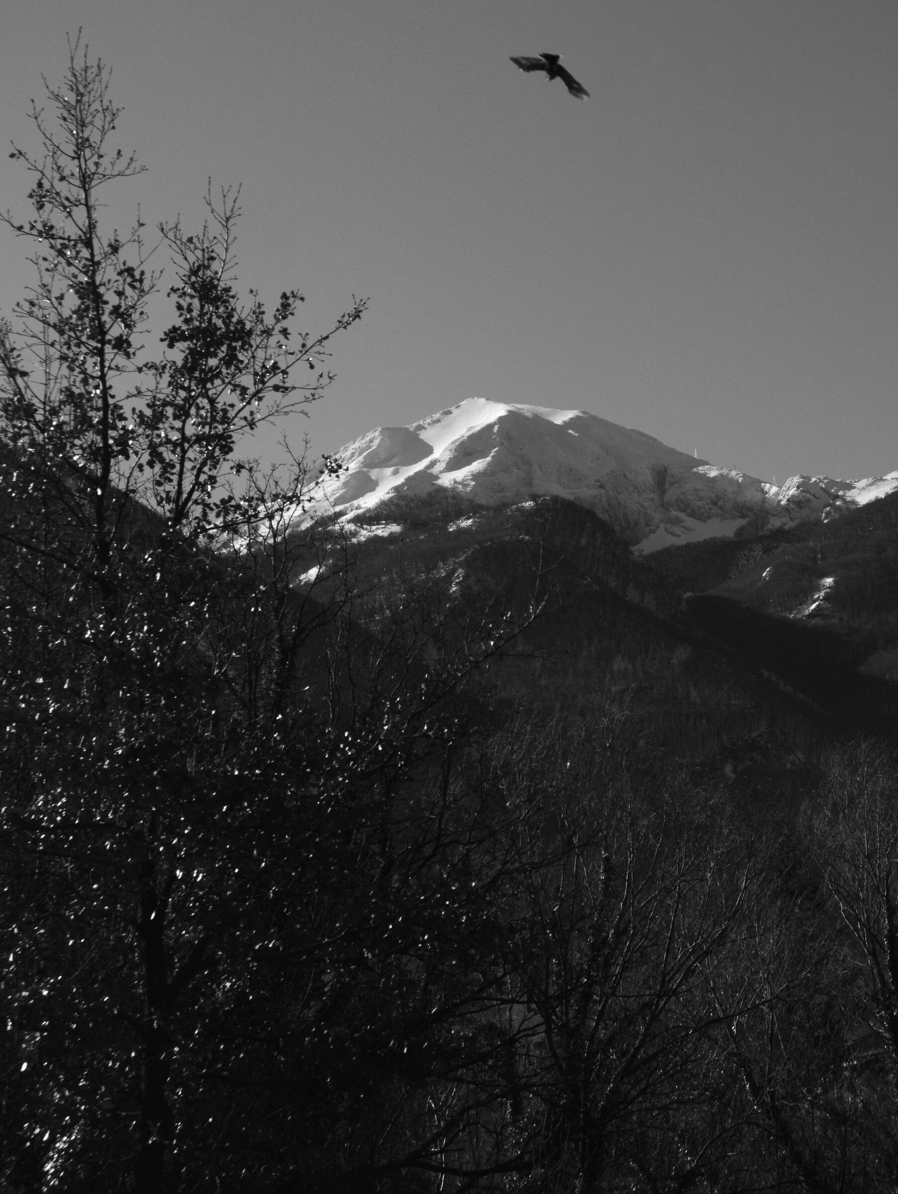 Campitello Matese