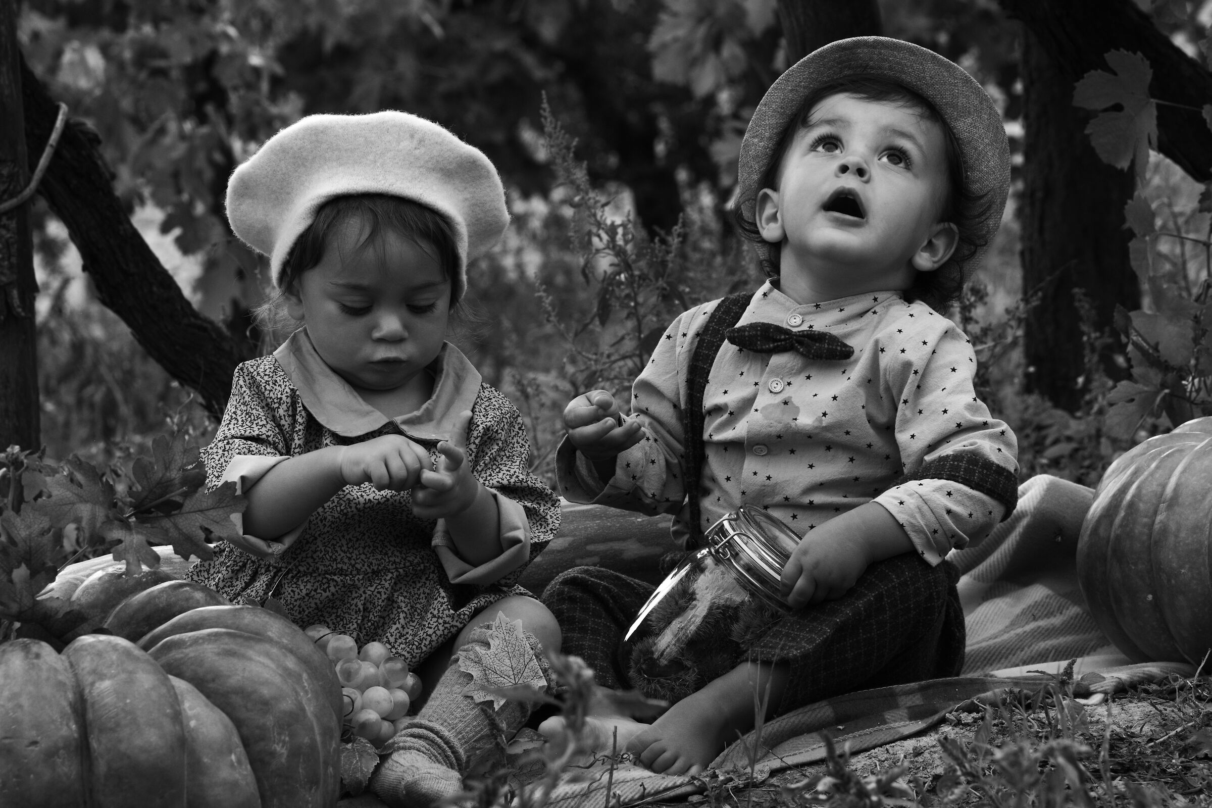 Grape harvest