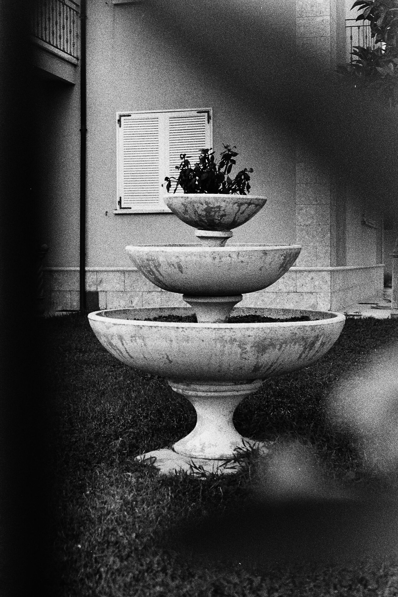 Fountain