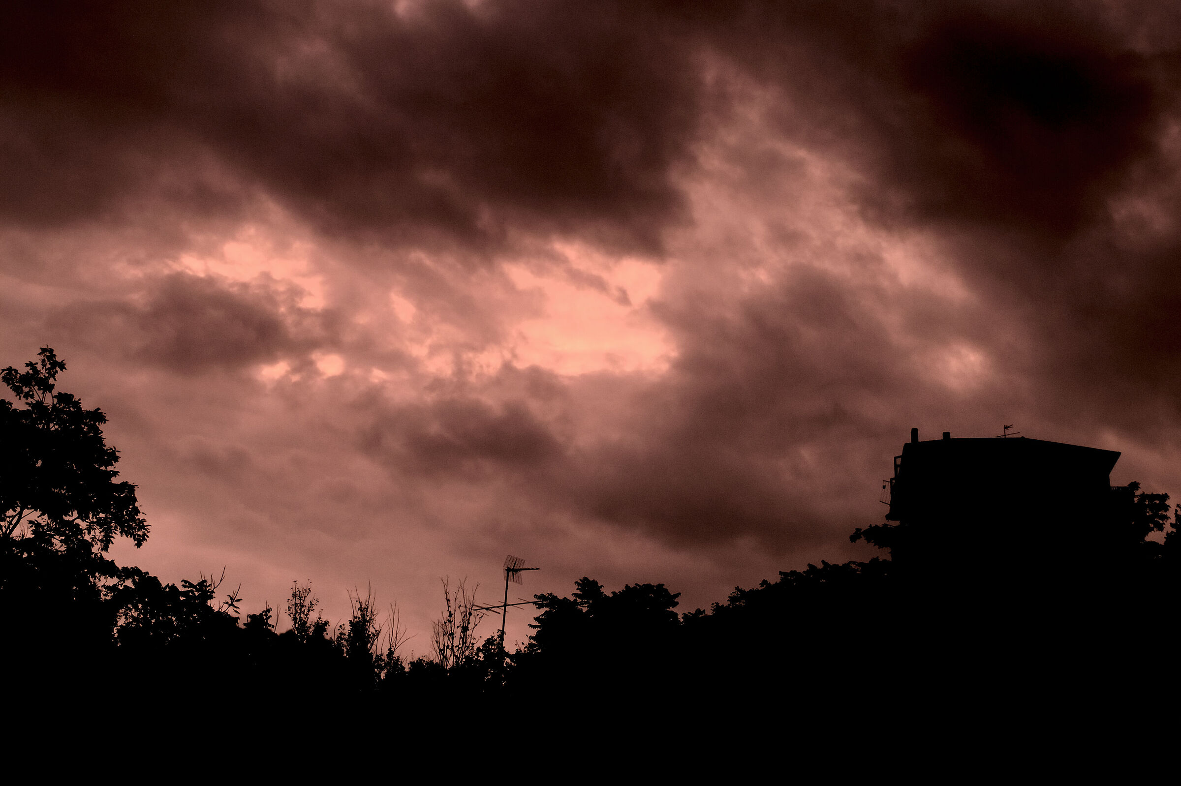 Dawn
