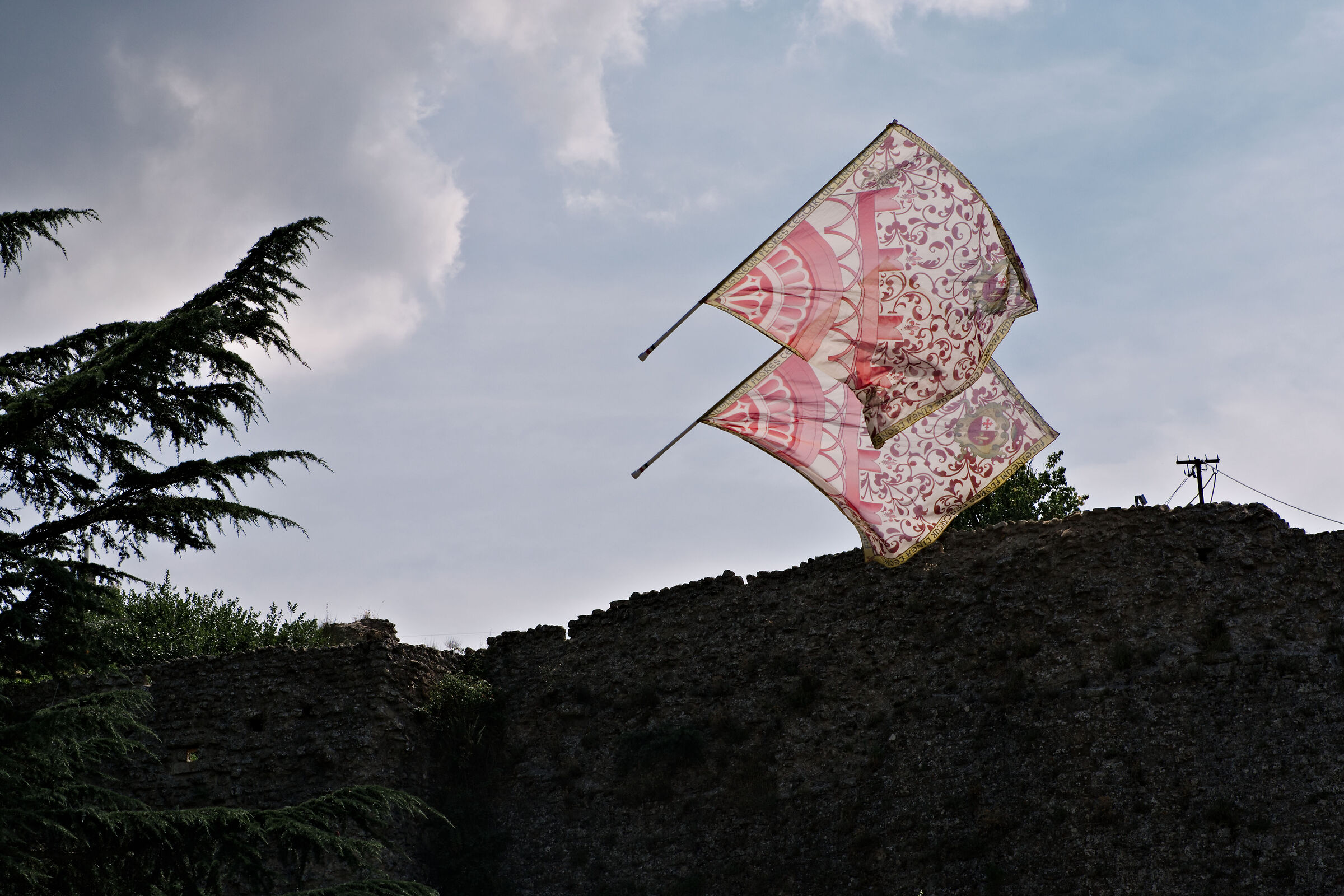 Double Banner