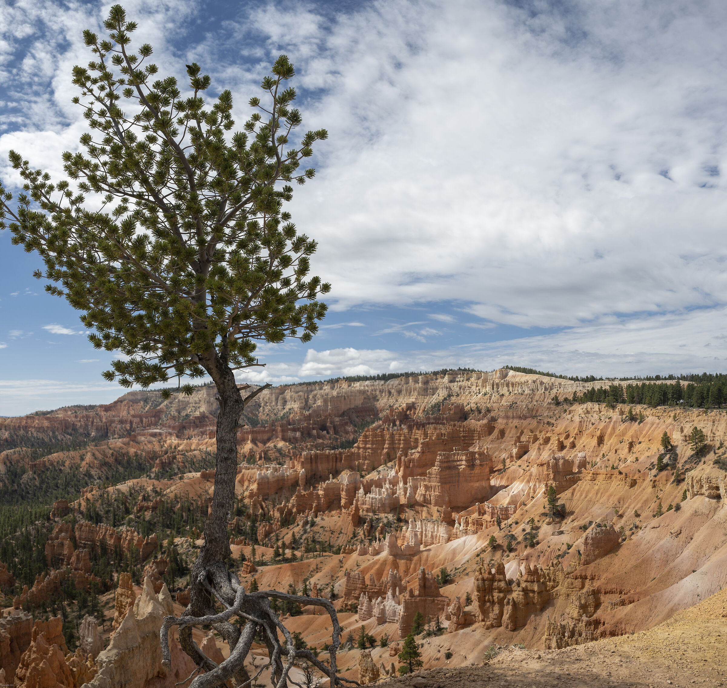 Bryce Canyon